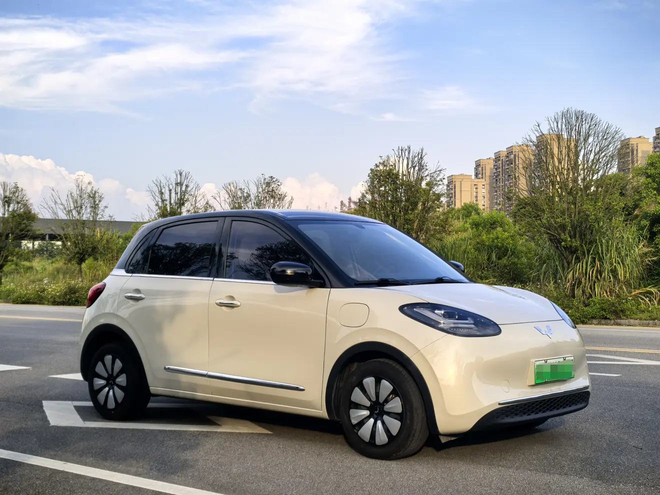 Wuling Bingo