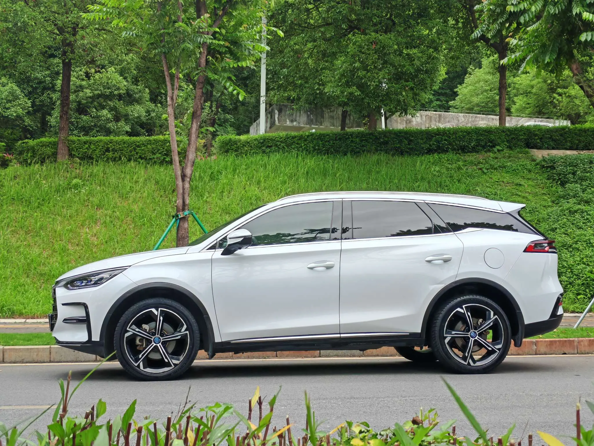 BYD Tang DM
