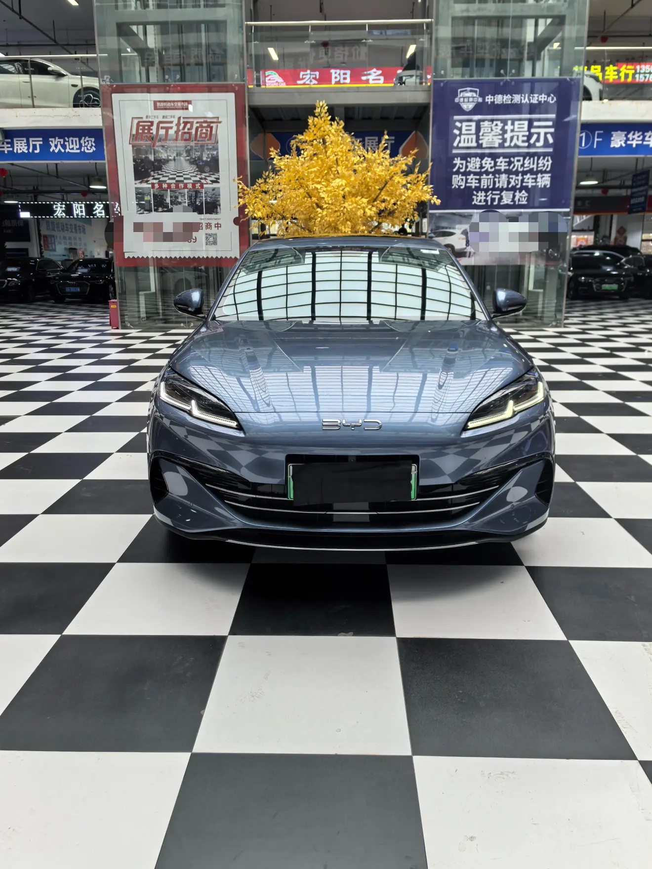 BYD Seal 06DM