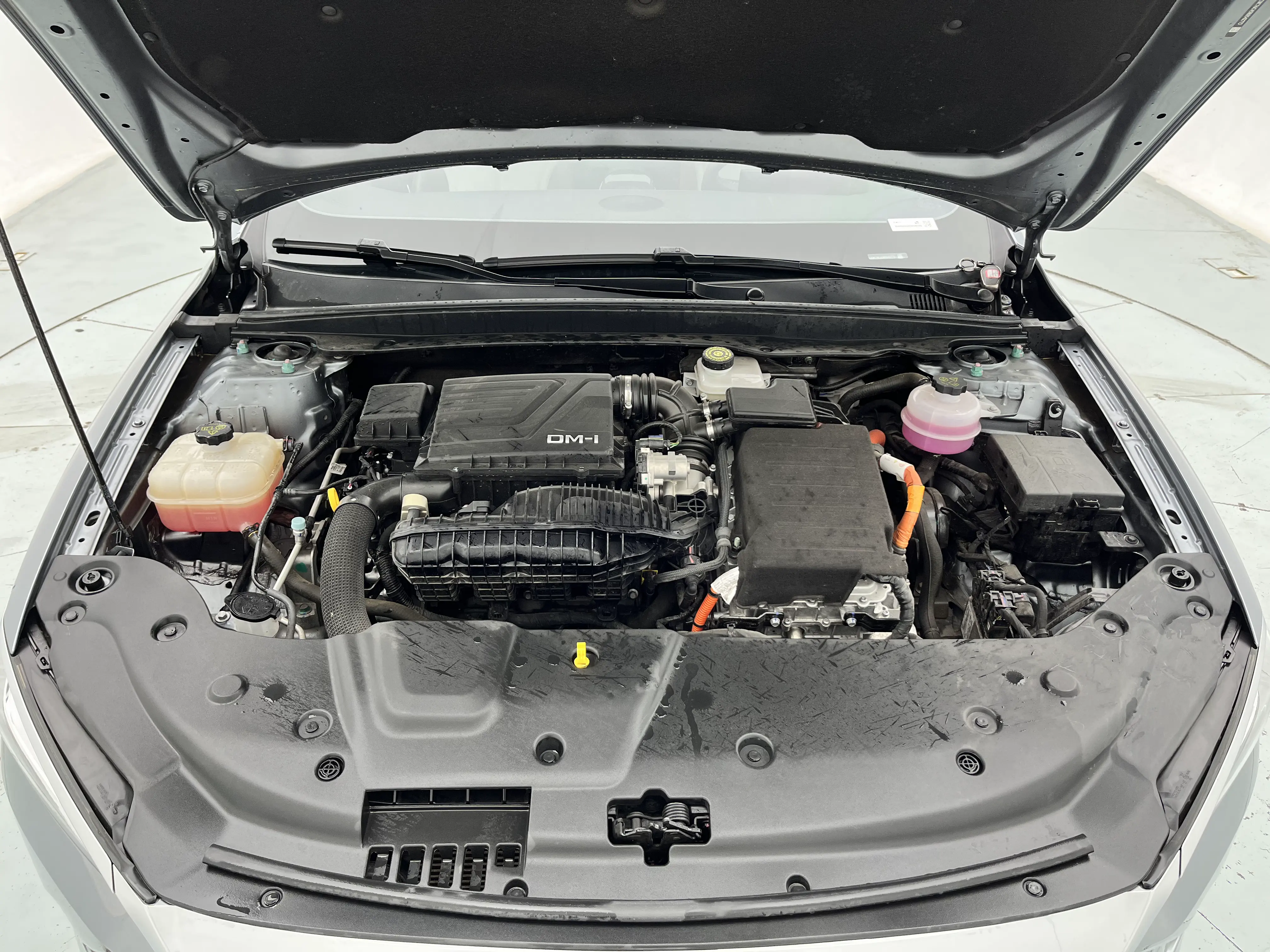 BYD Qin PLUS DM