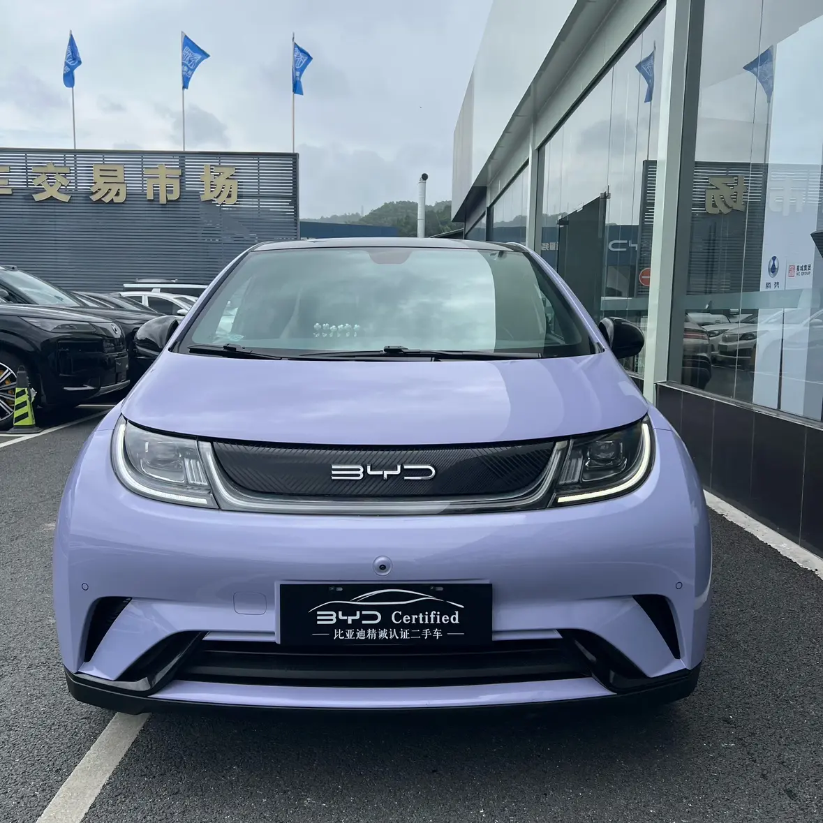 BYD Dolphin