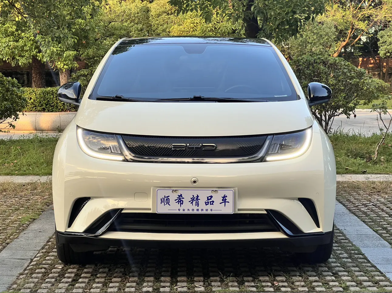 BYD Dolphin