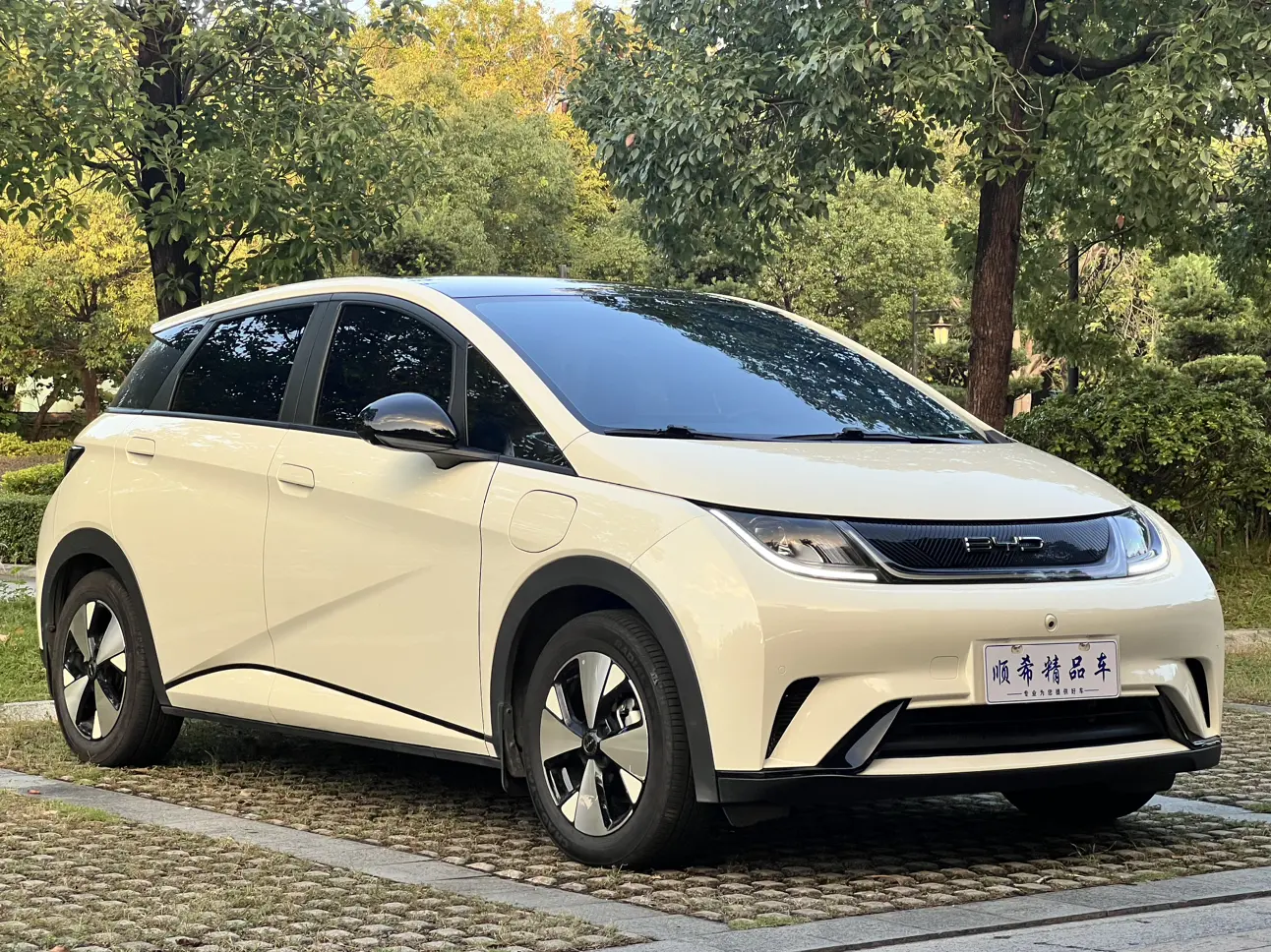 BYD Dolphin