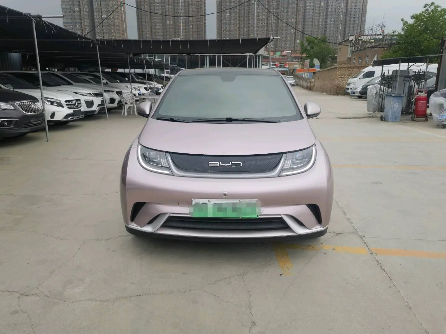 BYD Dolphin