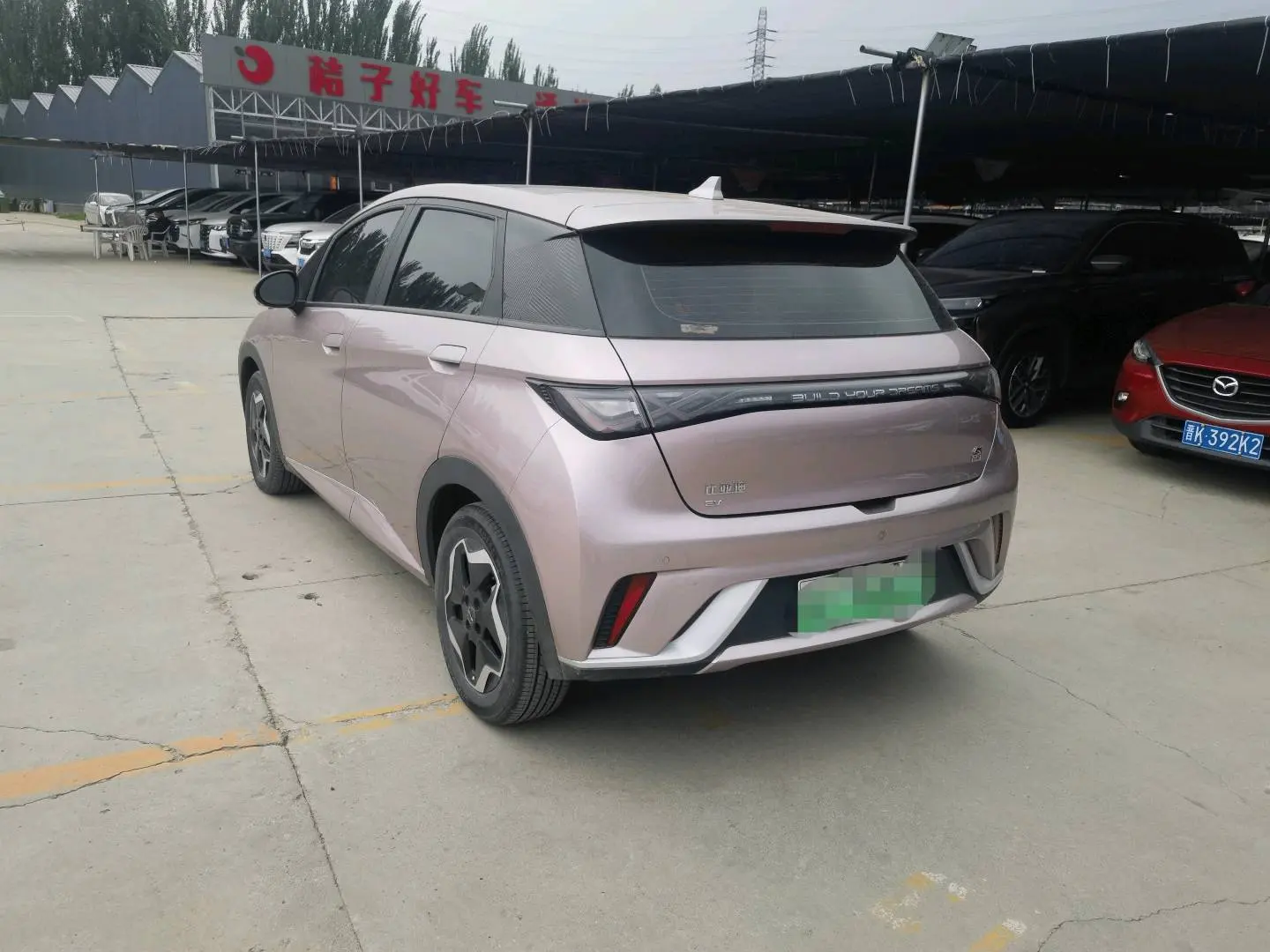 BYD Dolphin