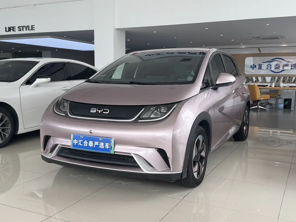 BYD dolphin
