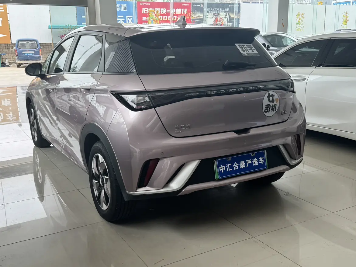 BYD dolphin
