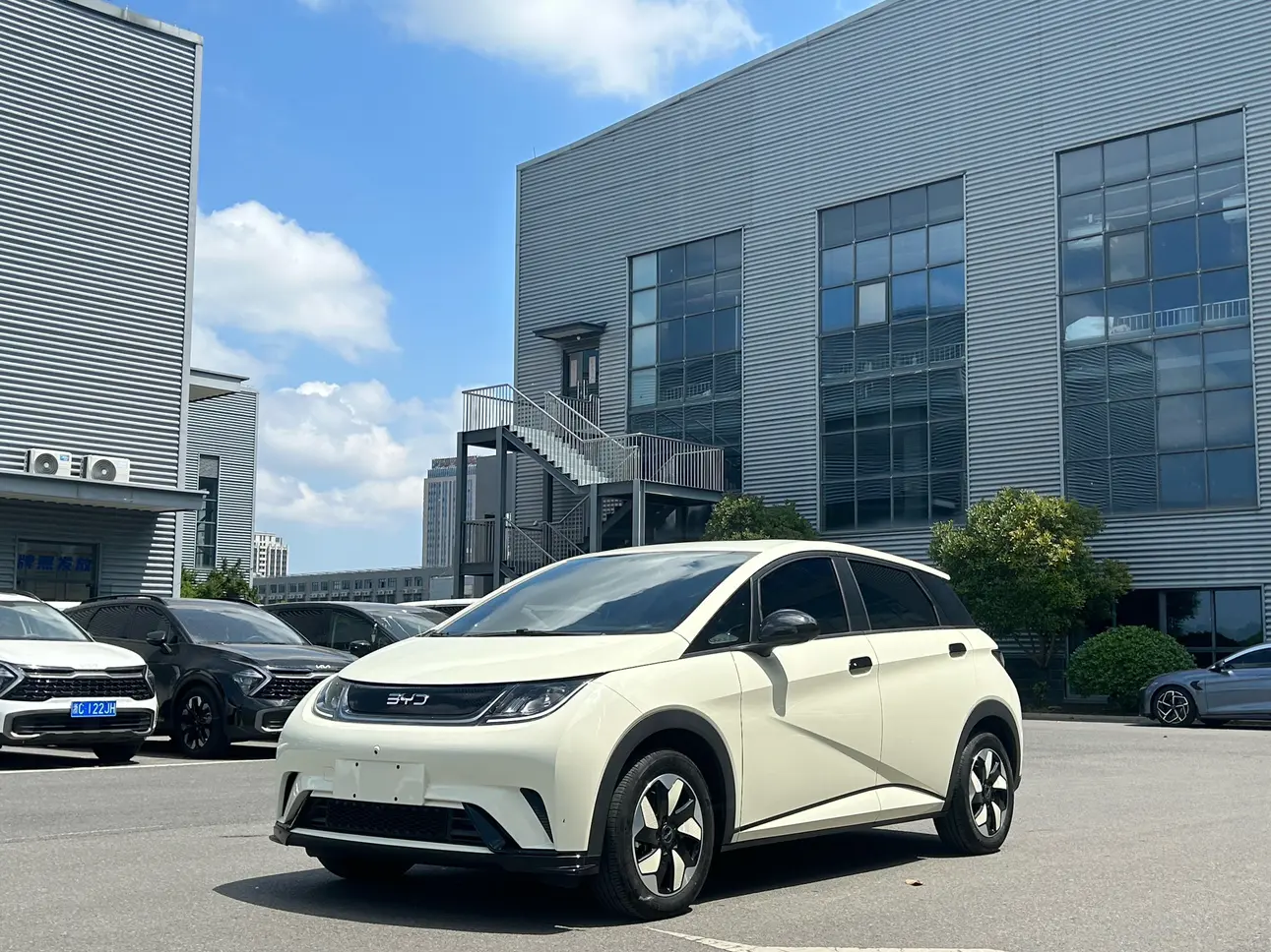 BYD dolphin