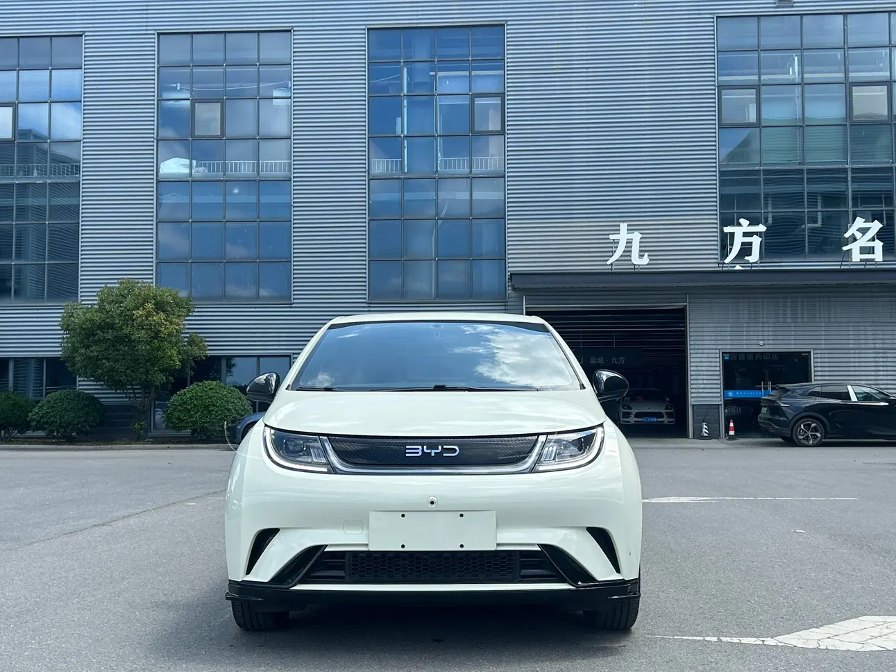 BYD dolphin