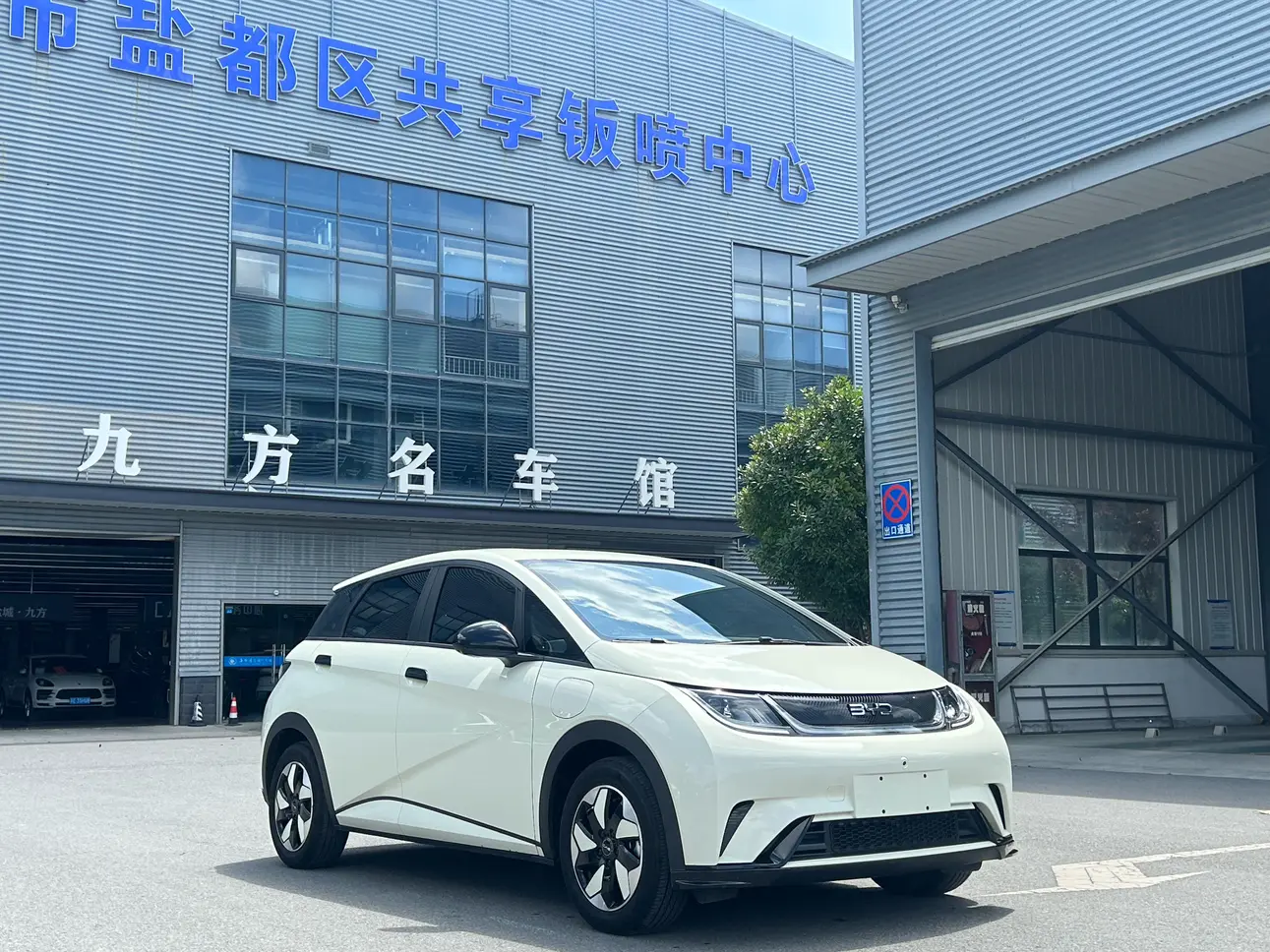 BYD dolphin