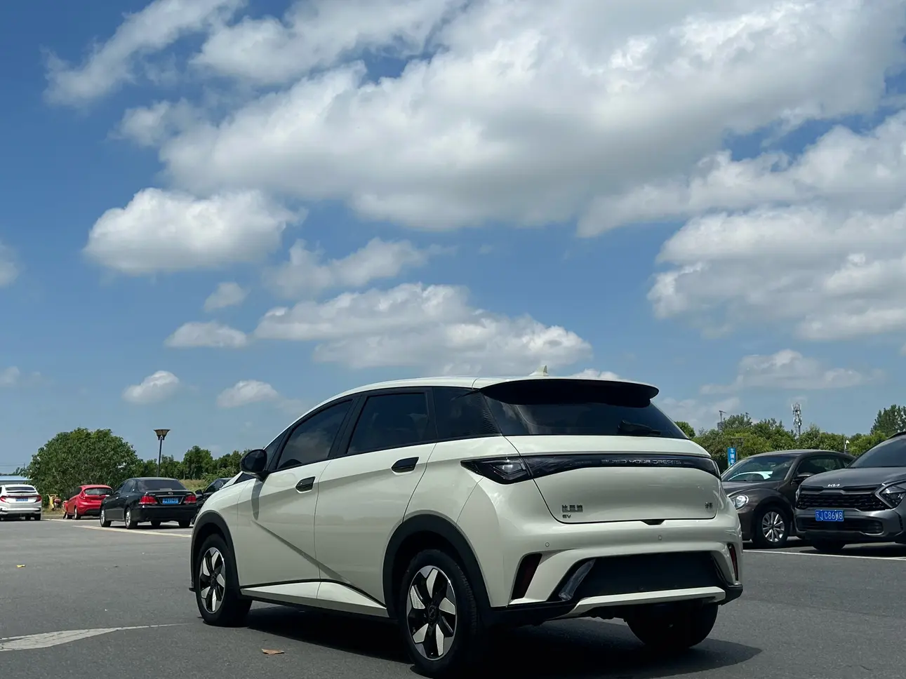 BYD dolphin