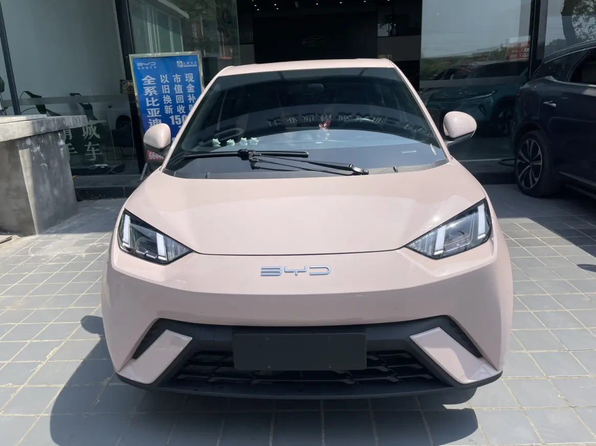 BYD Seagull