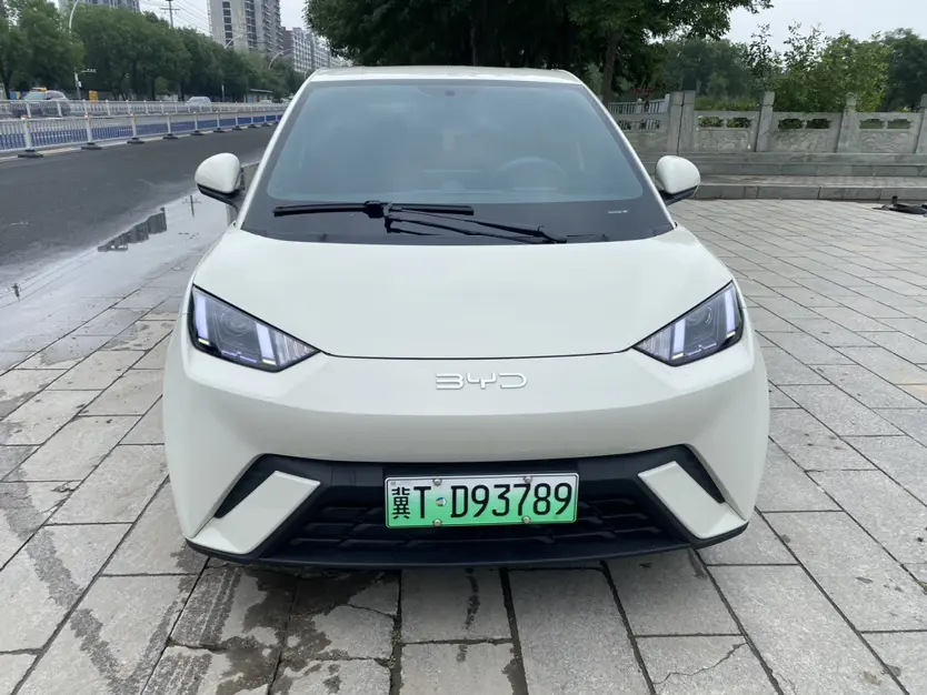 BYD Seagull