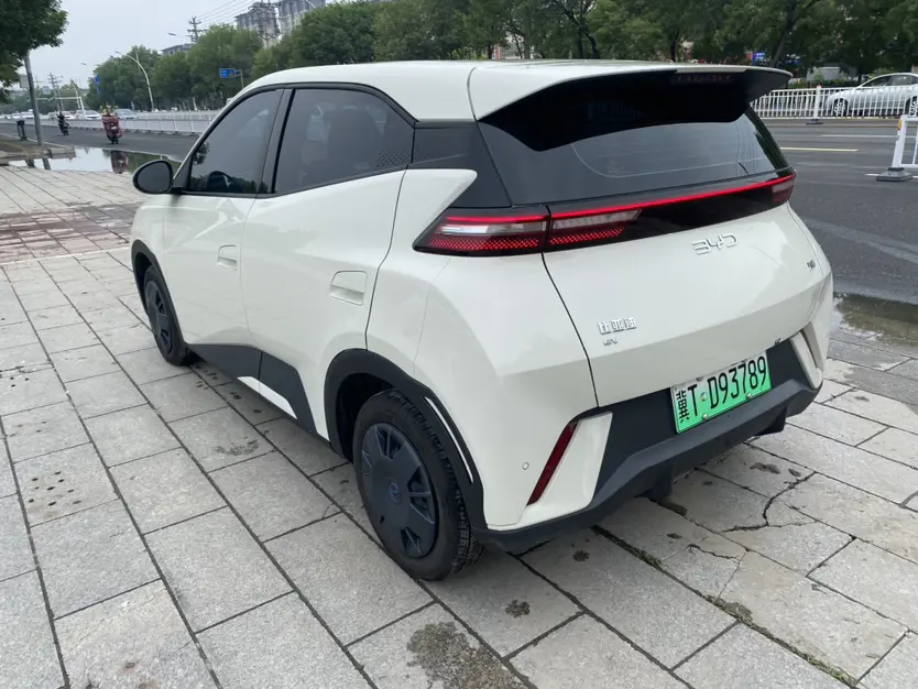 BYD Seagull