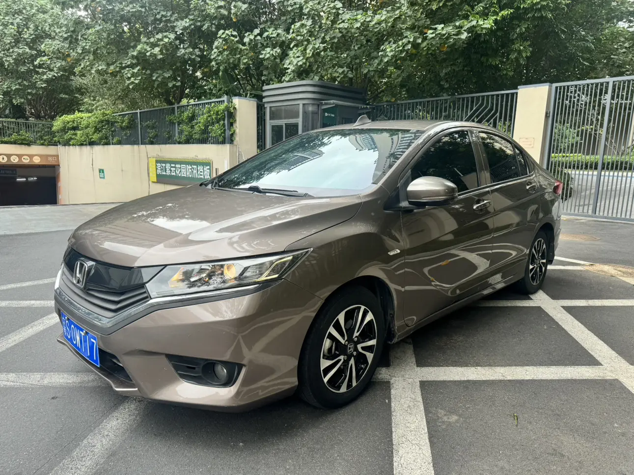 Honda Gray