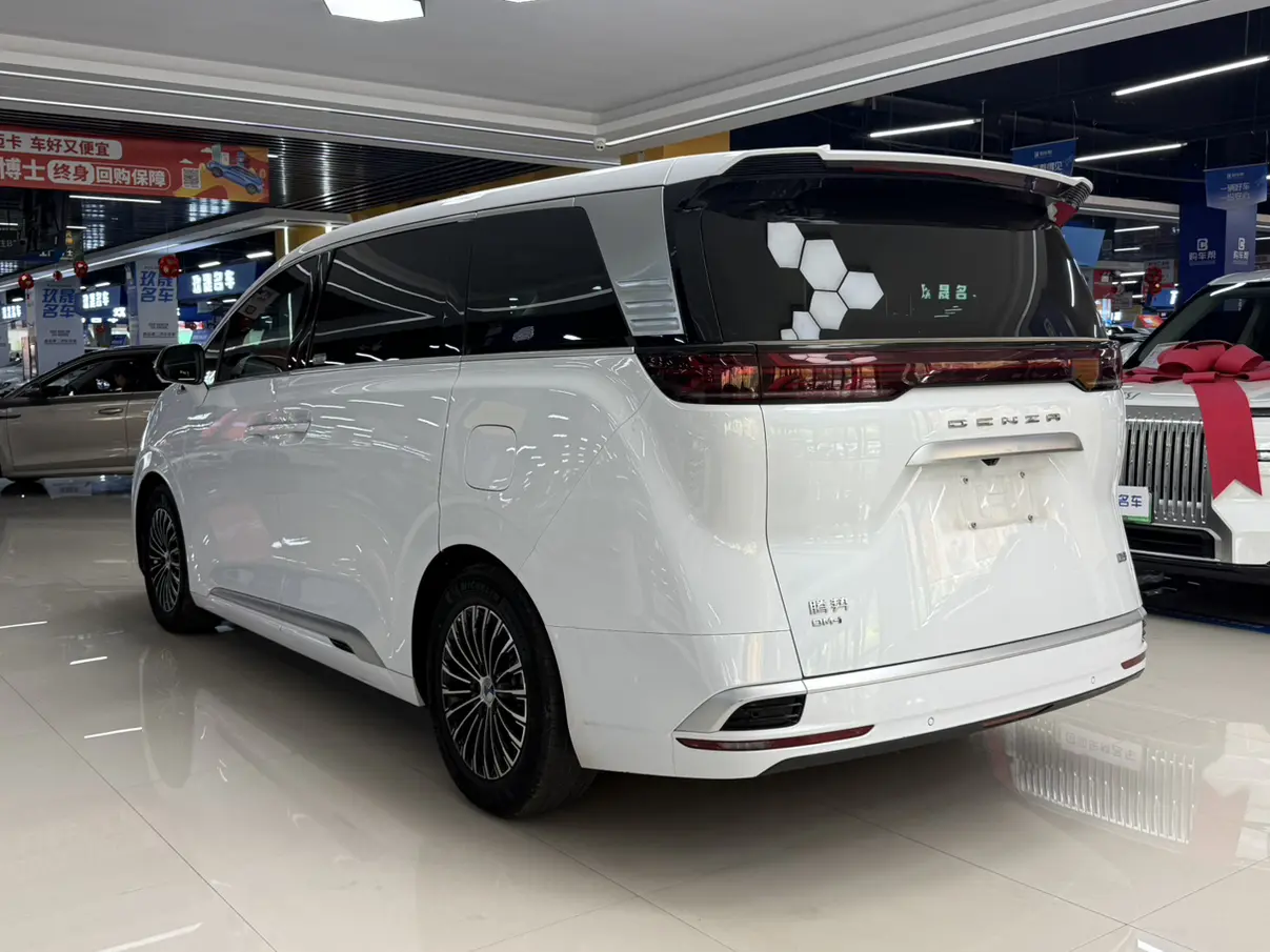 Denza D9 DM