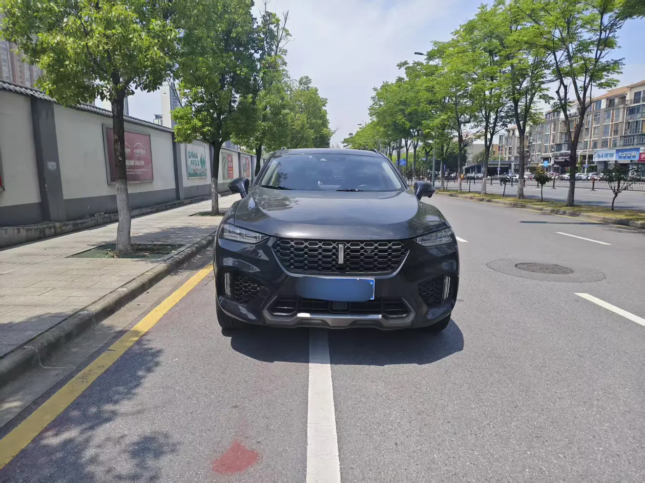 Wey Wei brand VV7