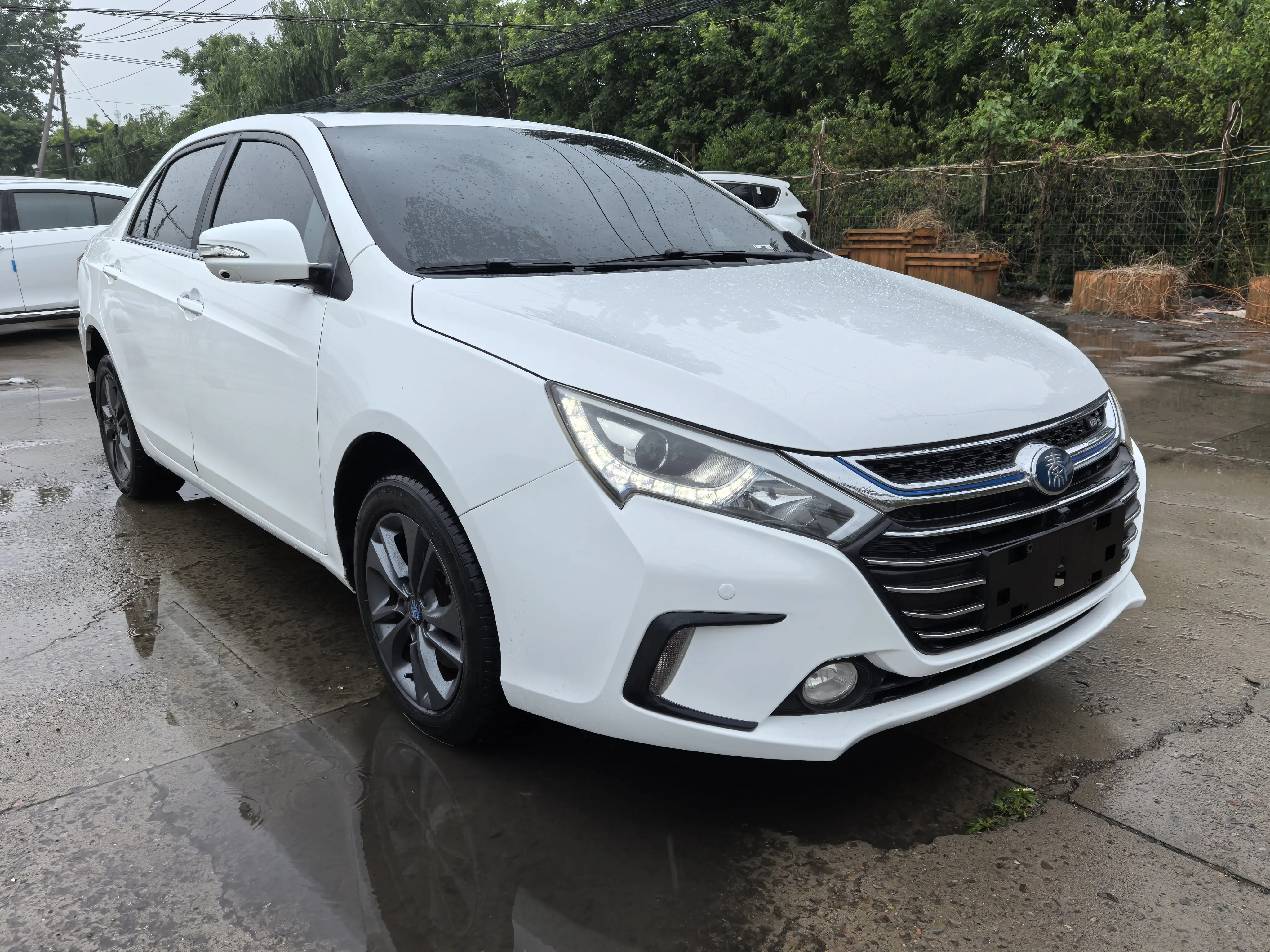 BYD Qin DM