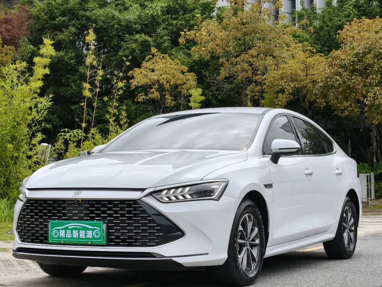 BYD Qin PLUS DM