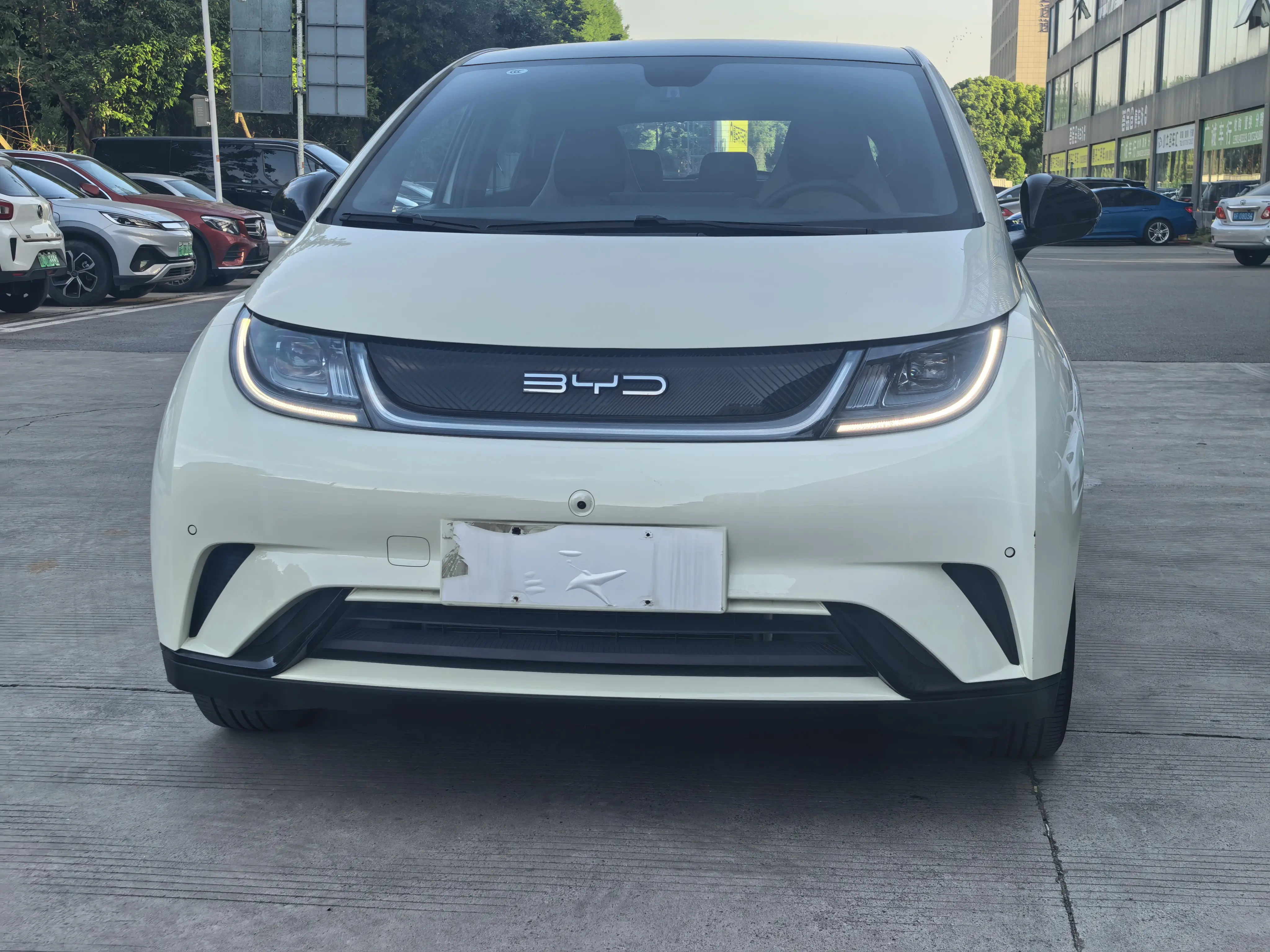 BYD Dolphin