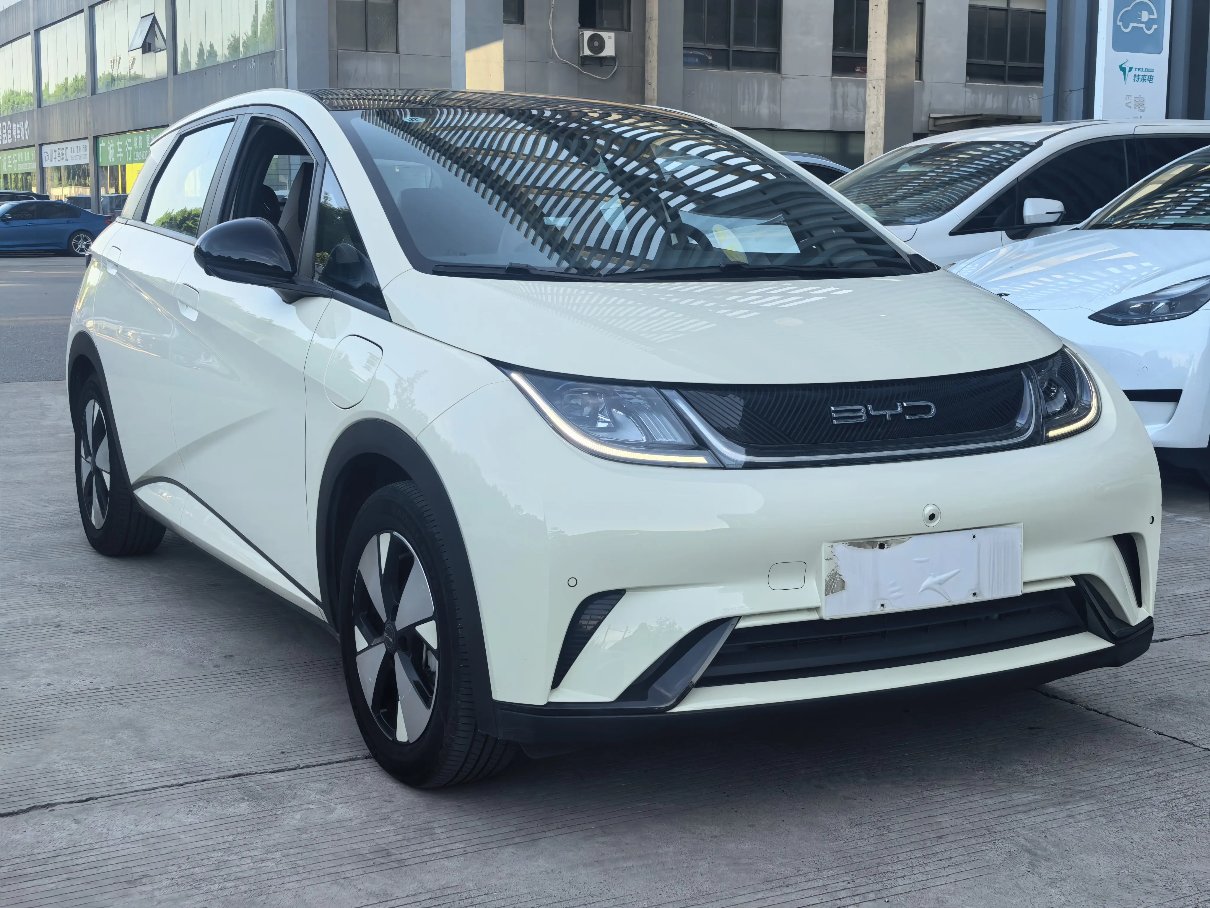 BYD Dolphin