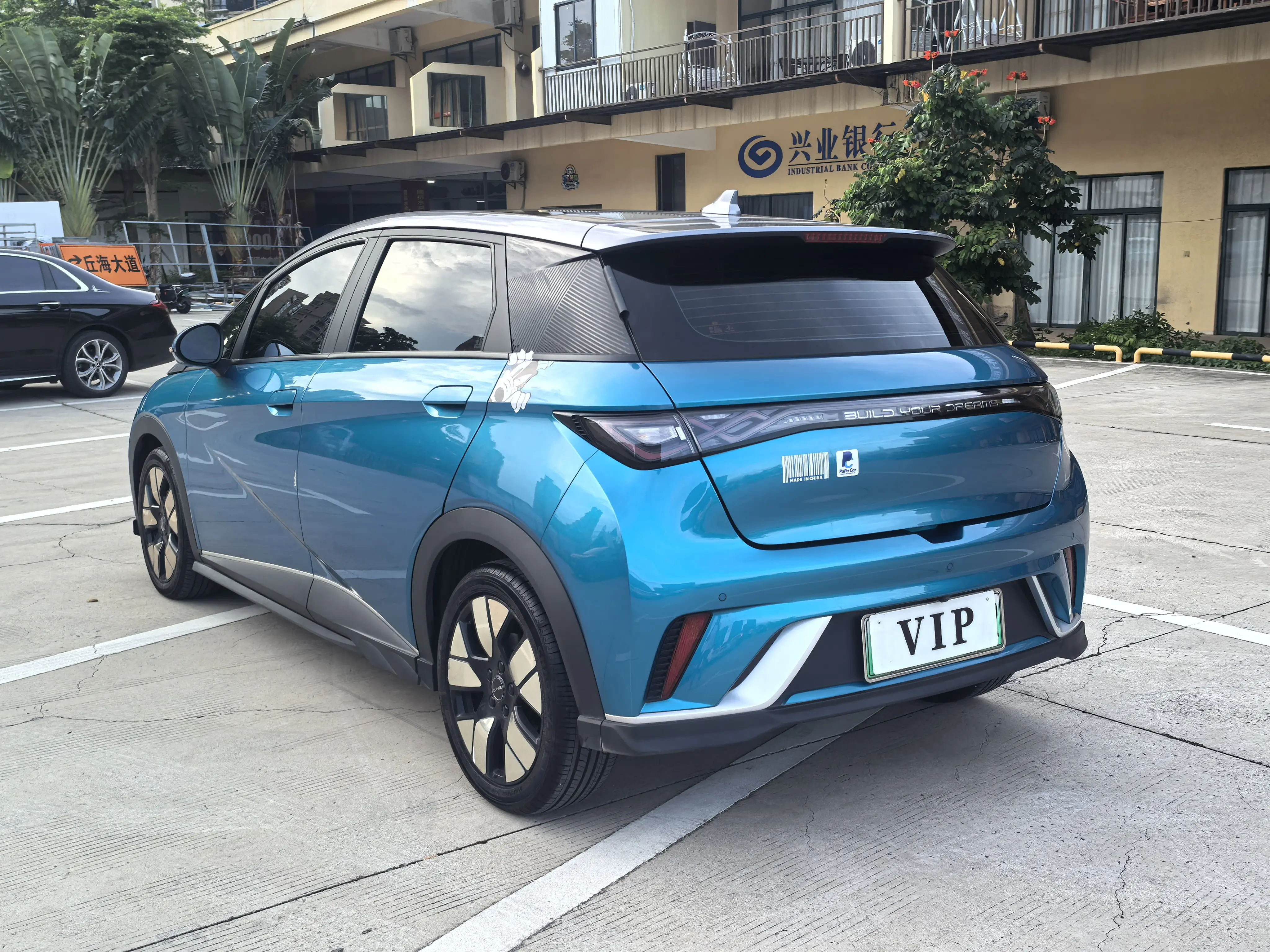 BYD Dolphin