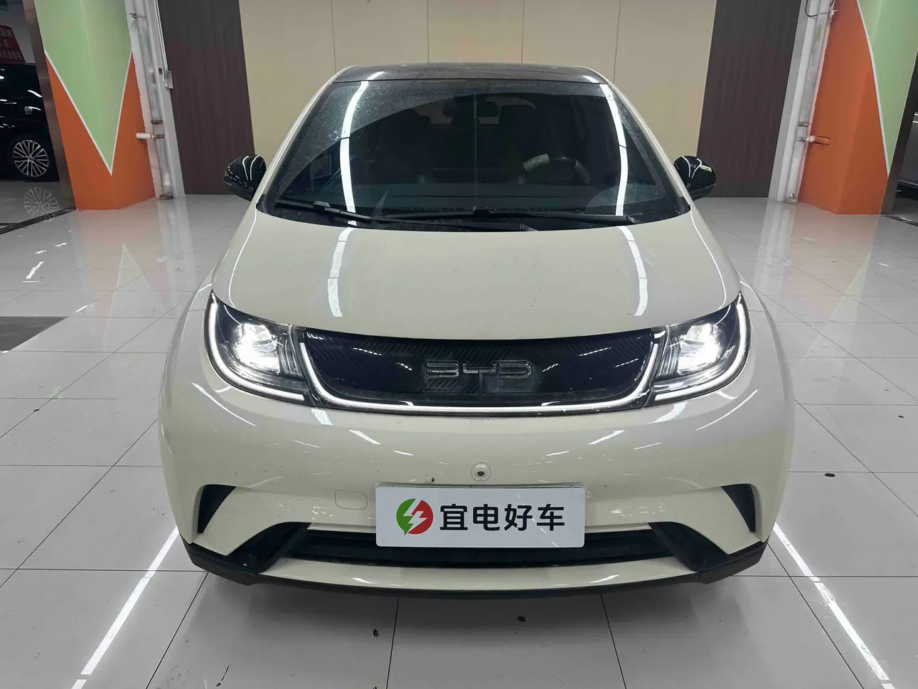 BYD Dolphin