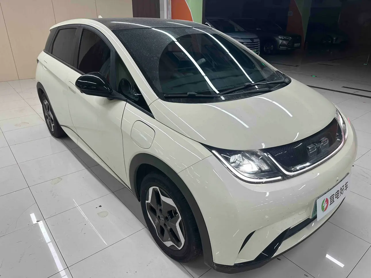 BYD Dolphin