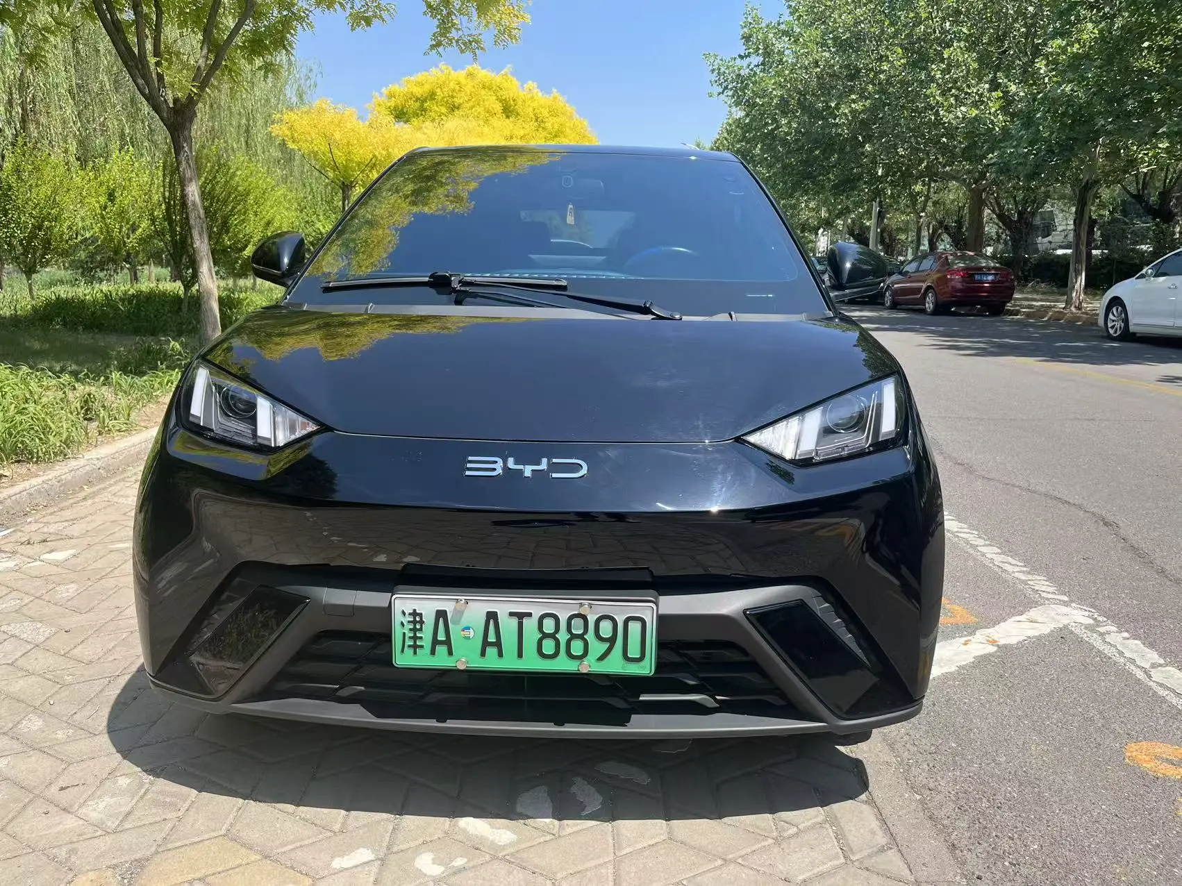 BYD Seagull