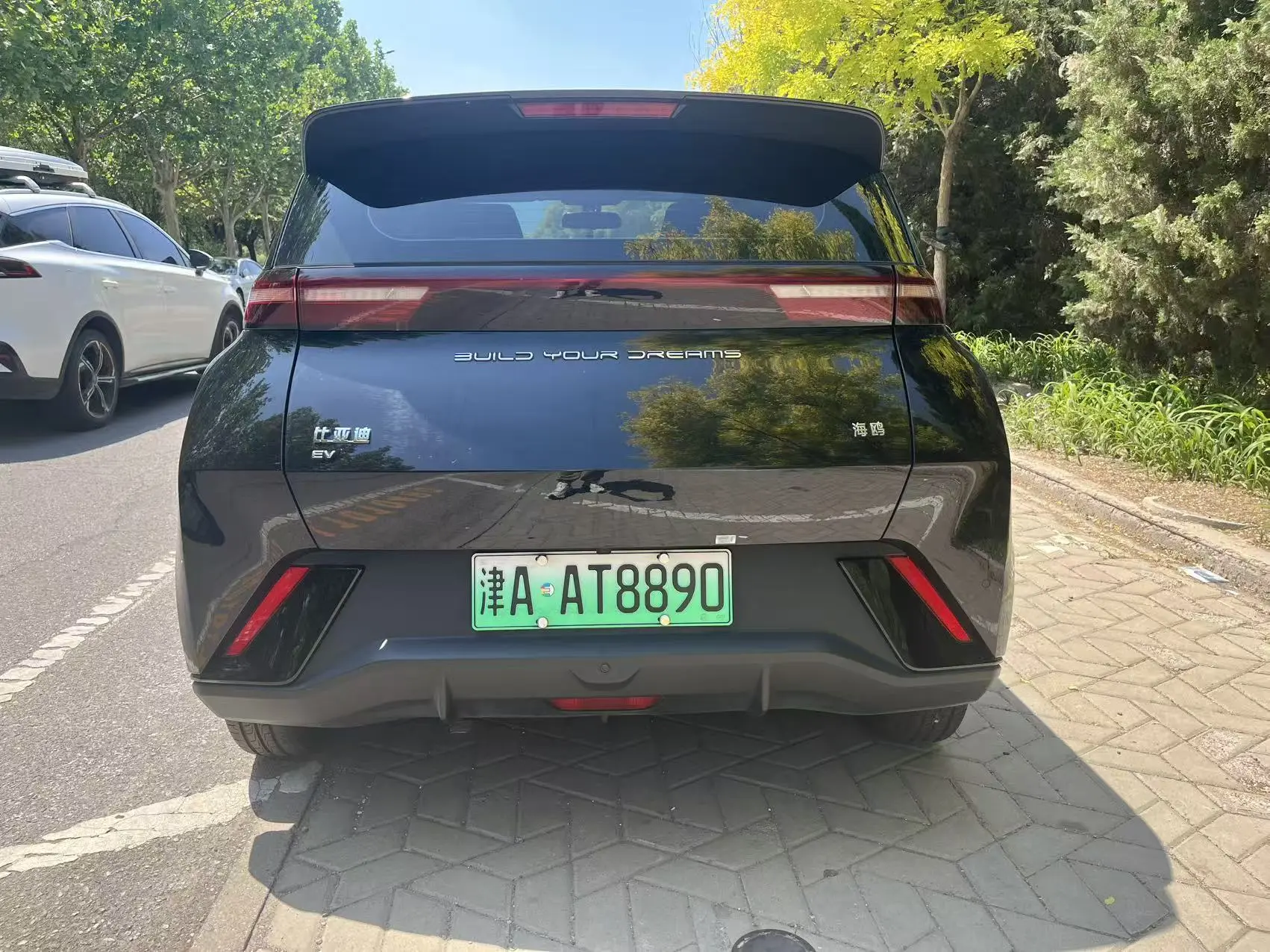 BYD Seagull
