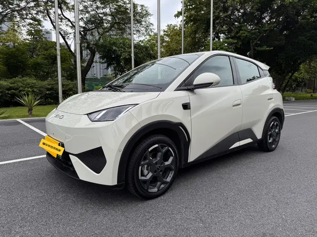 BYD Seagull