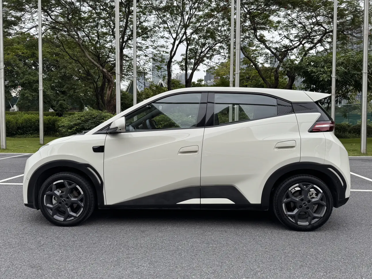 BYD Seagull