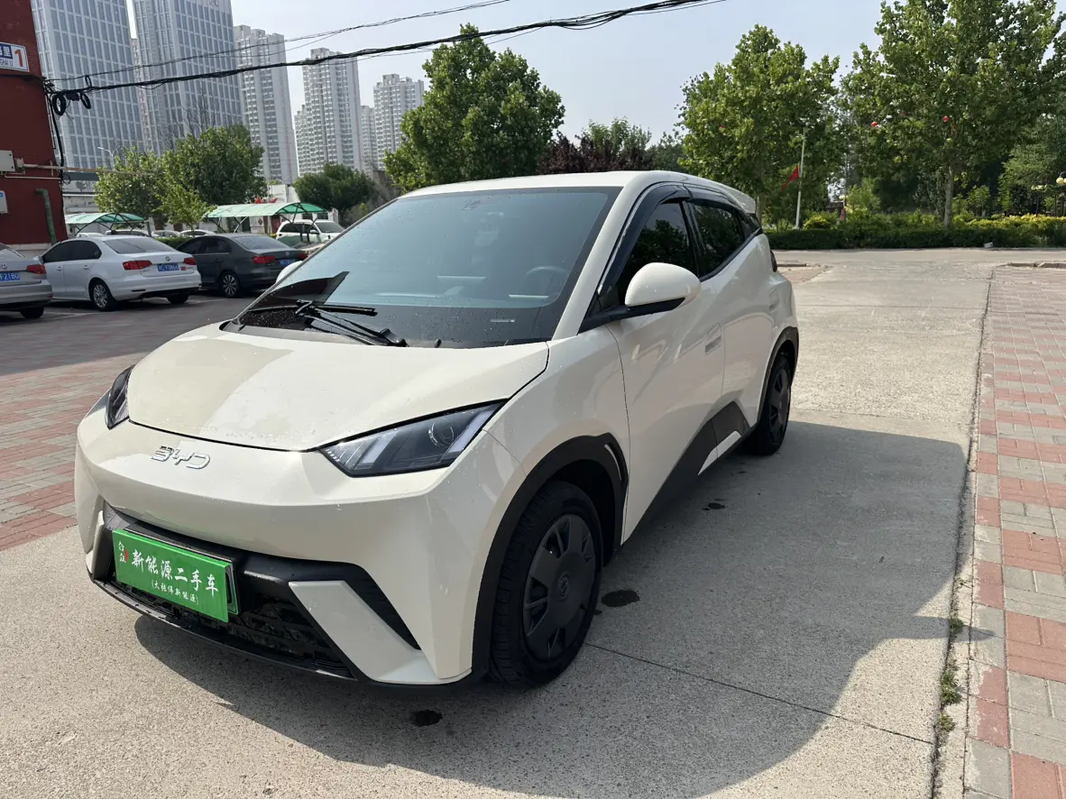 BYD Seagull
