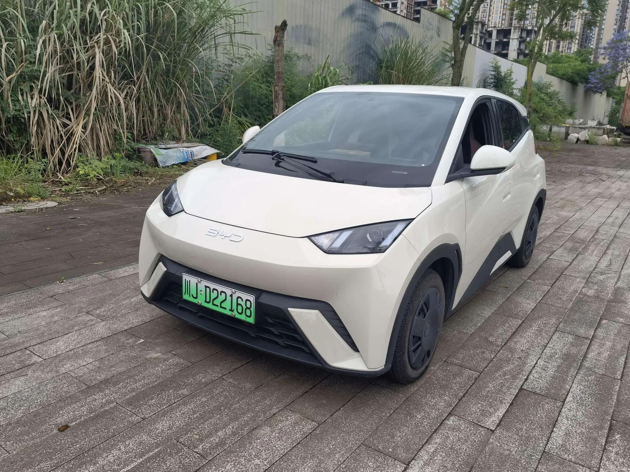 BYD Seagull