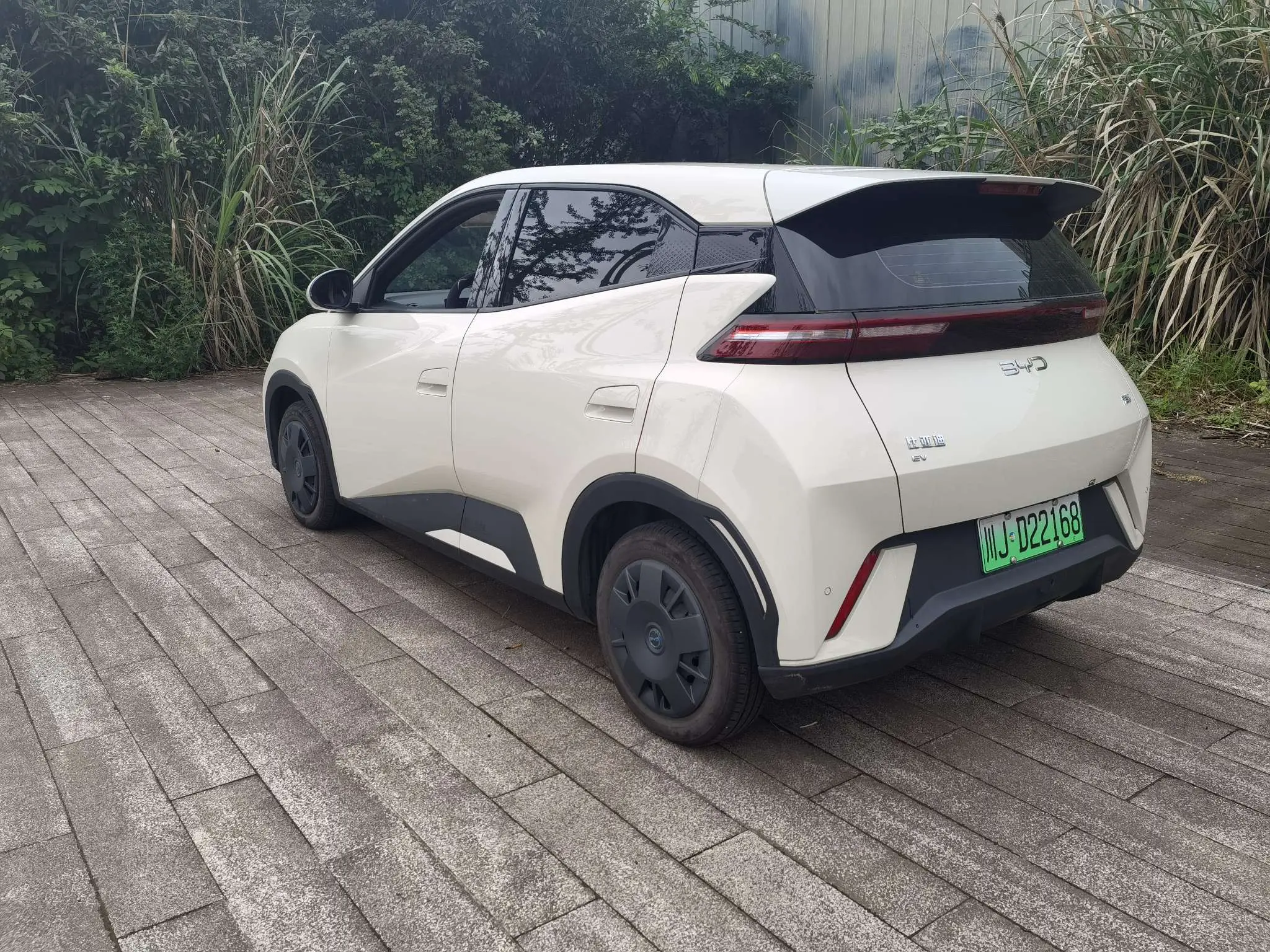 BYD Seagull