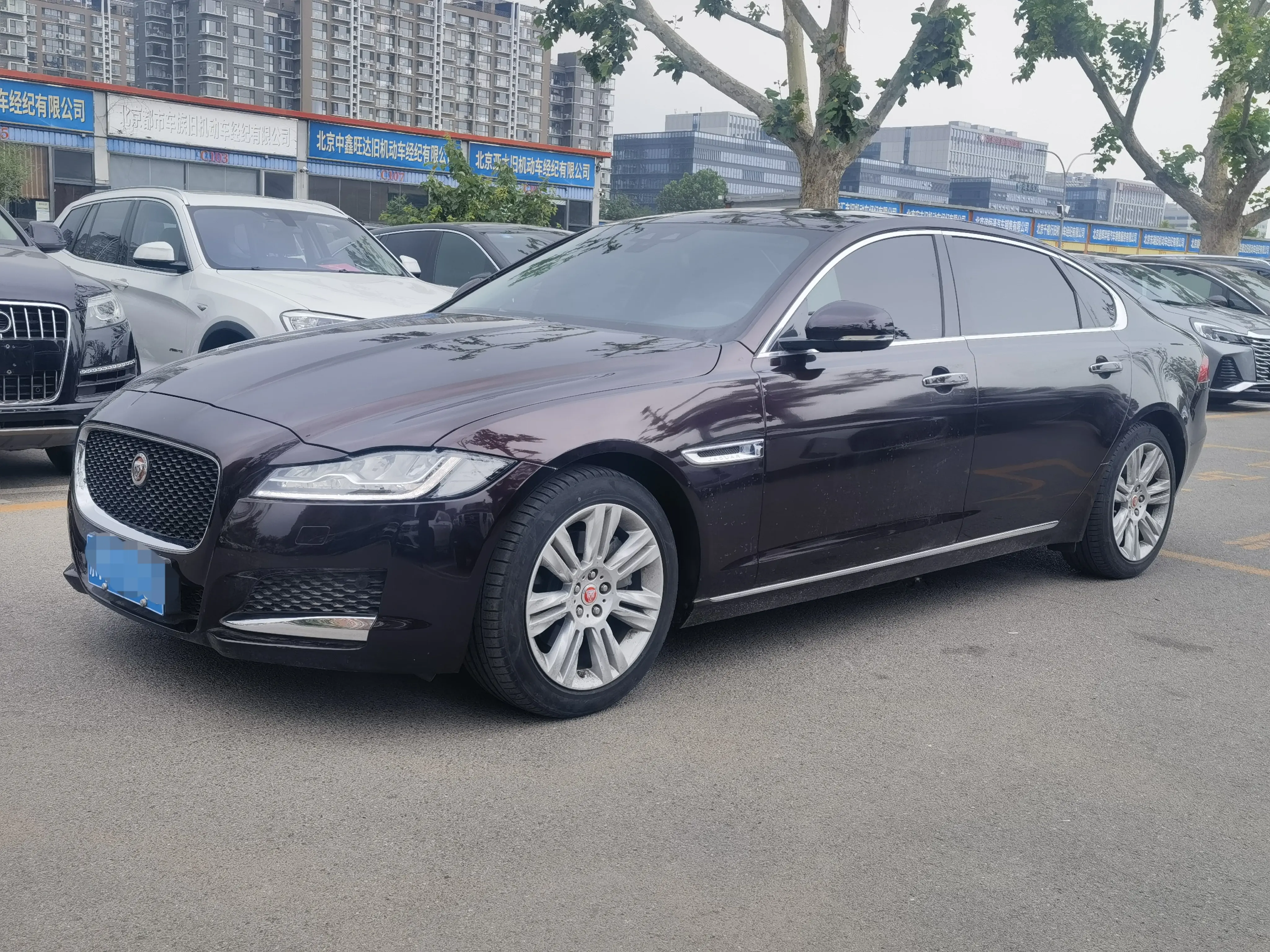 Jaguar XFL