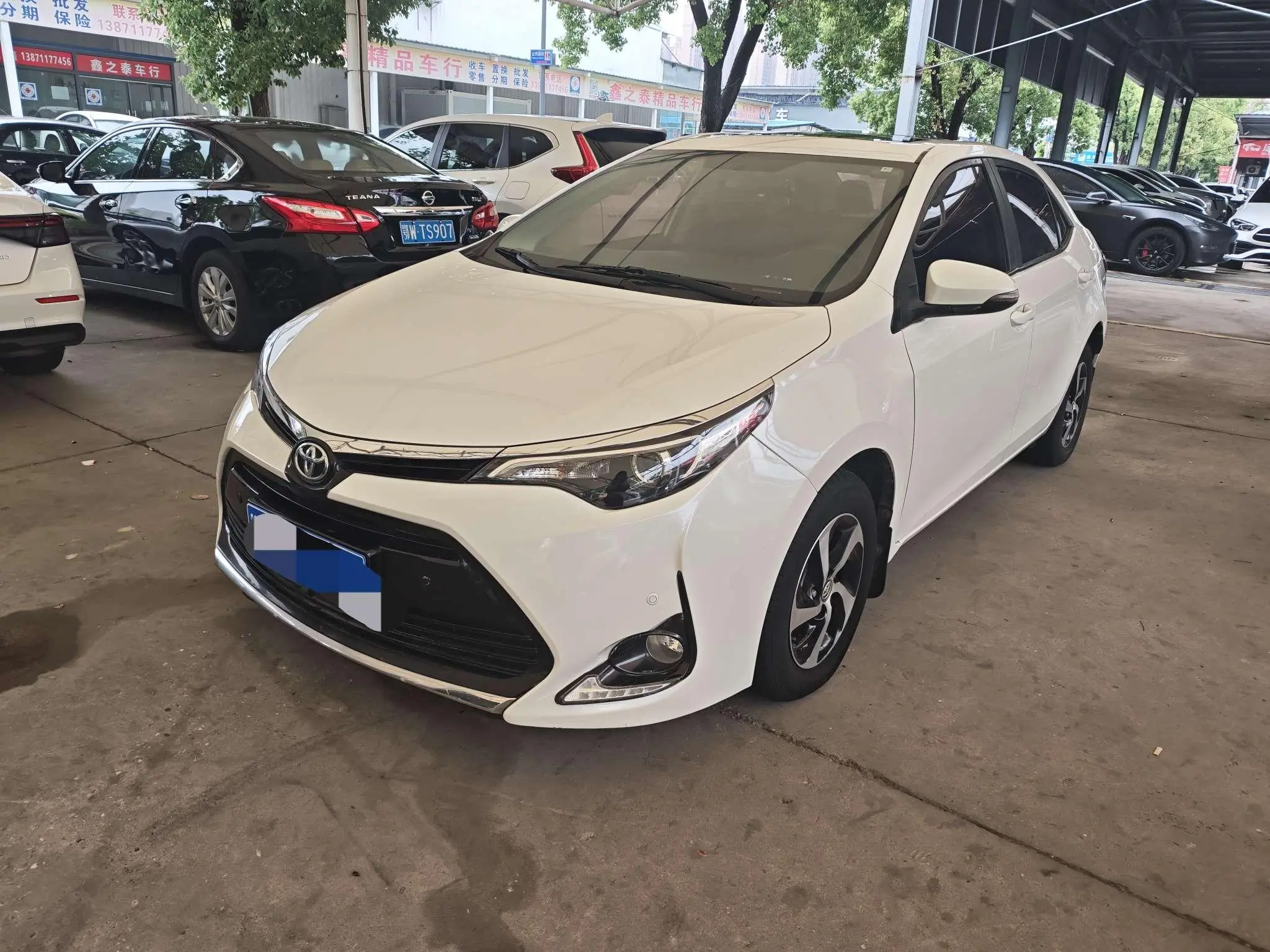 Toyota Levin