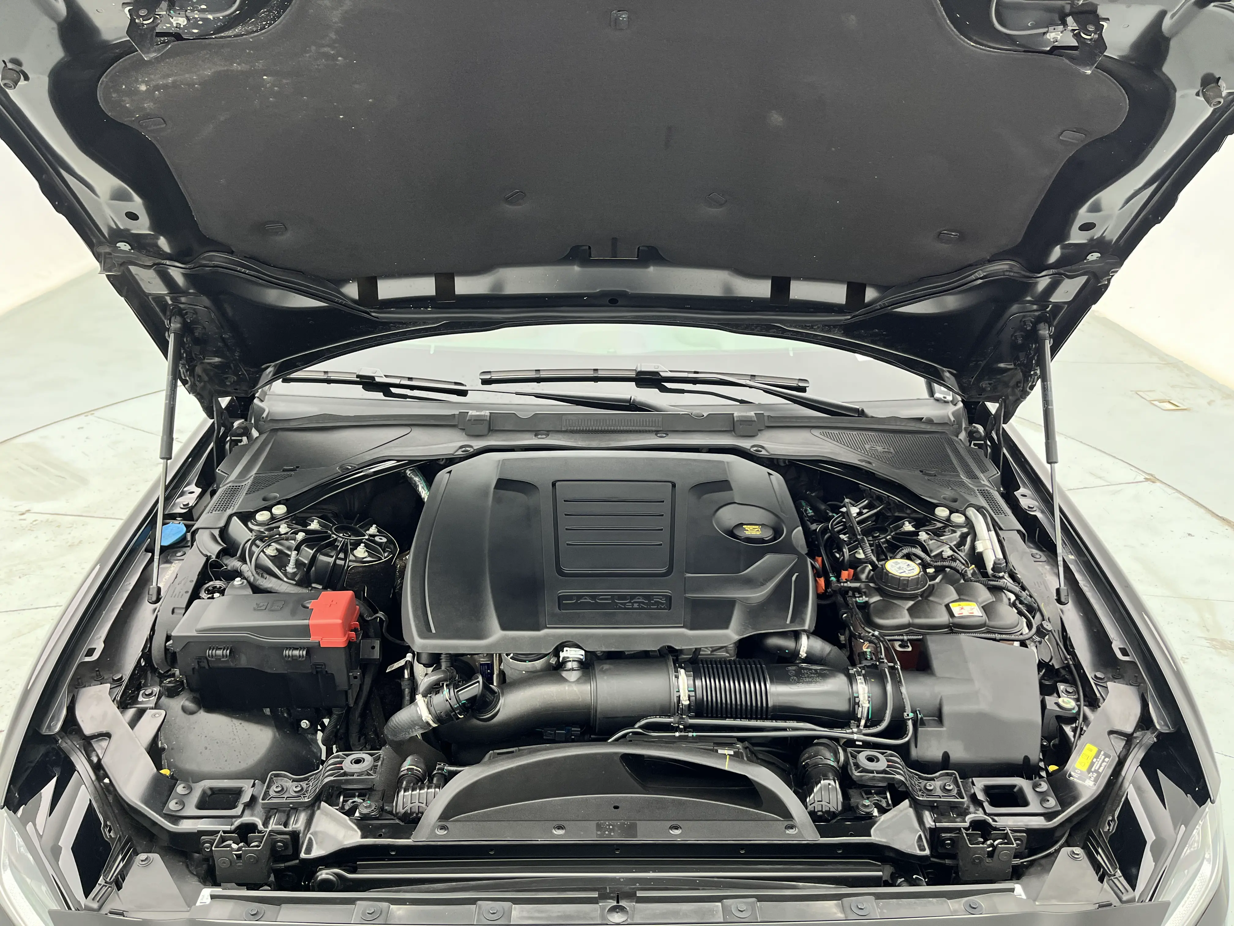 Jaguar XEL