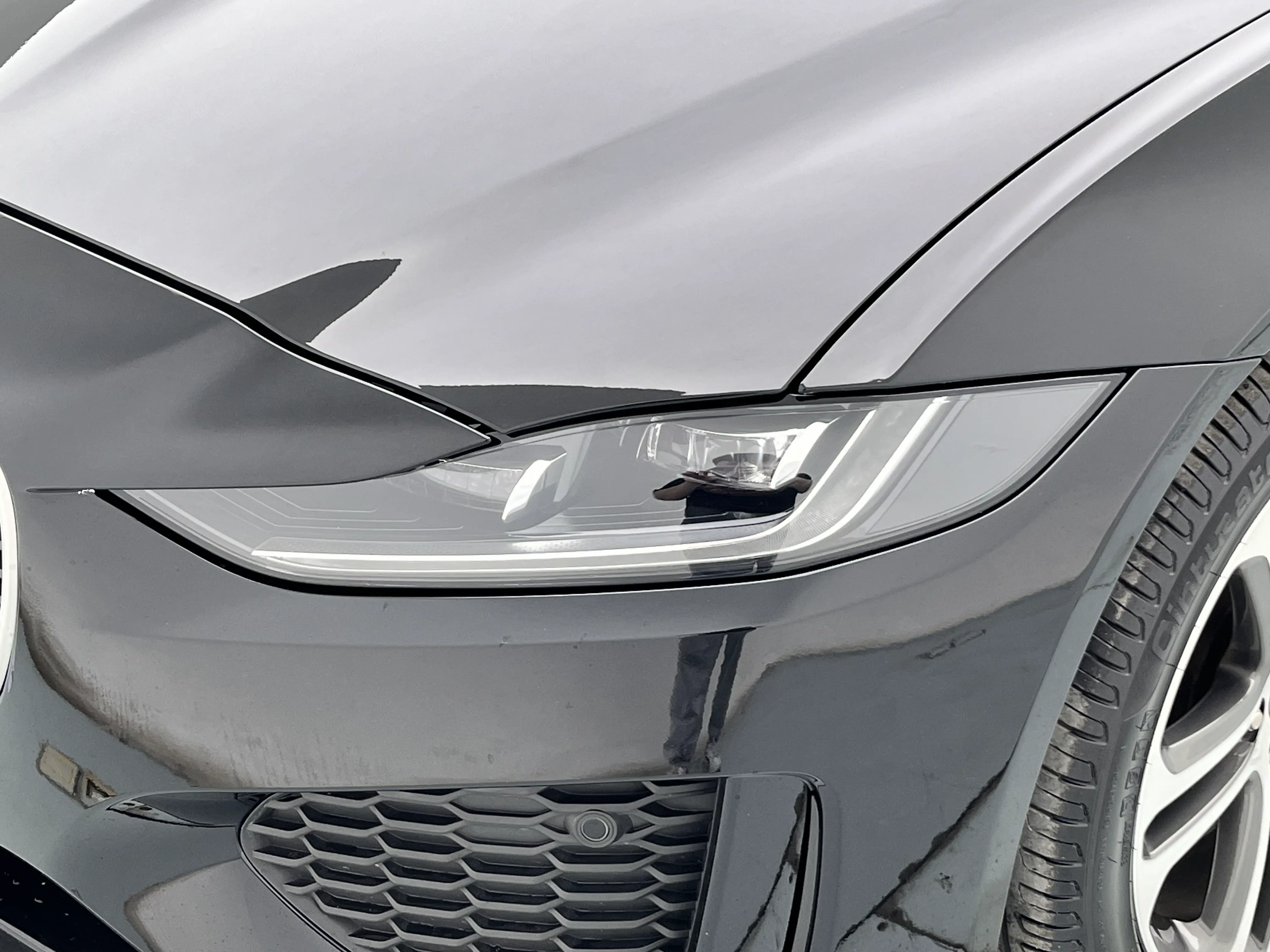 Jaguar XEL