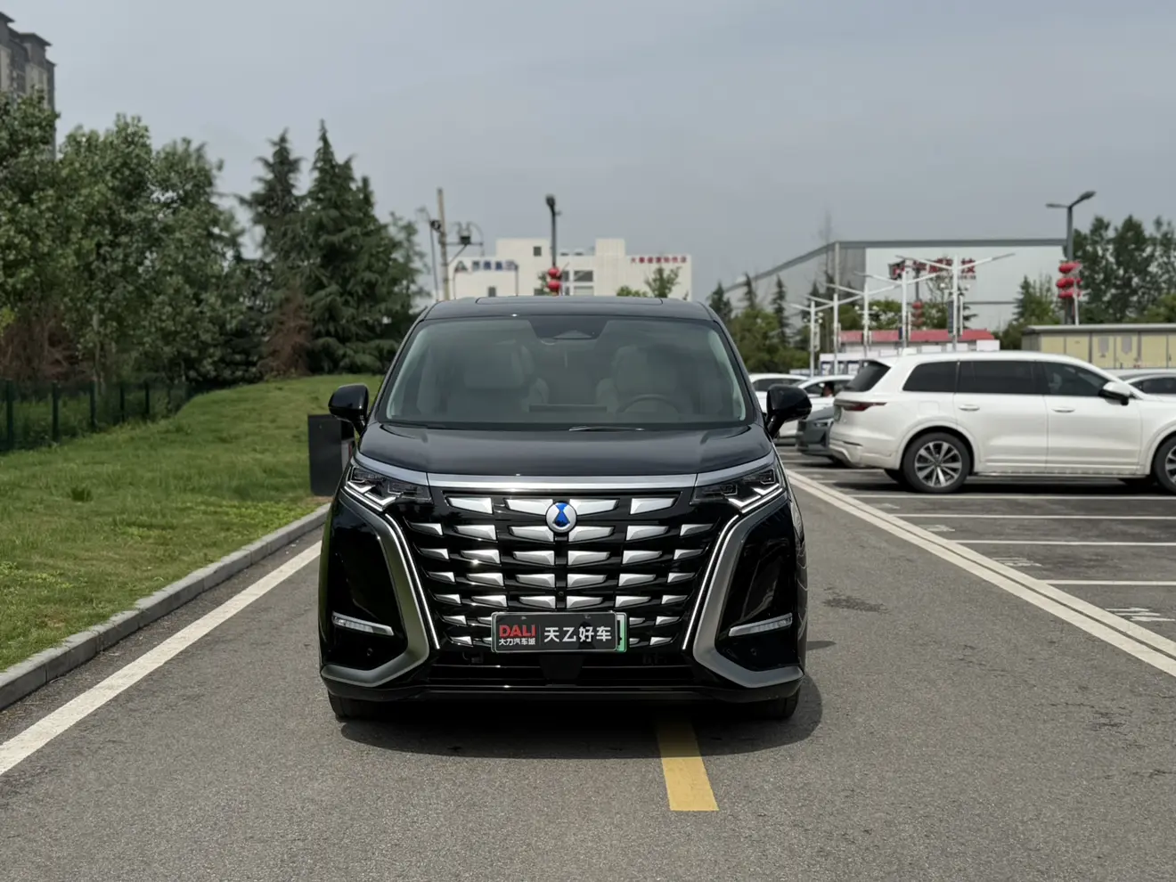 Denza D9 DM