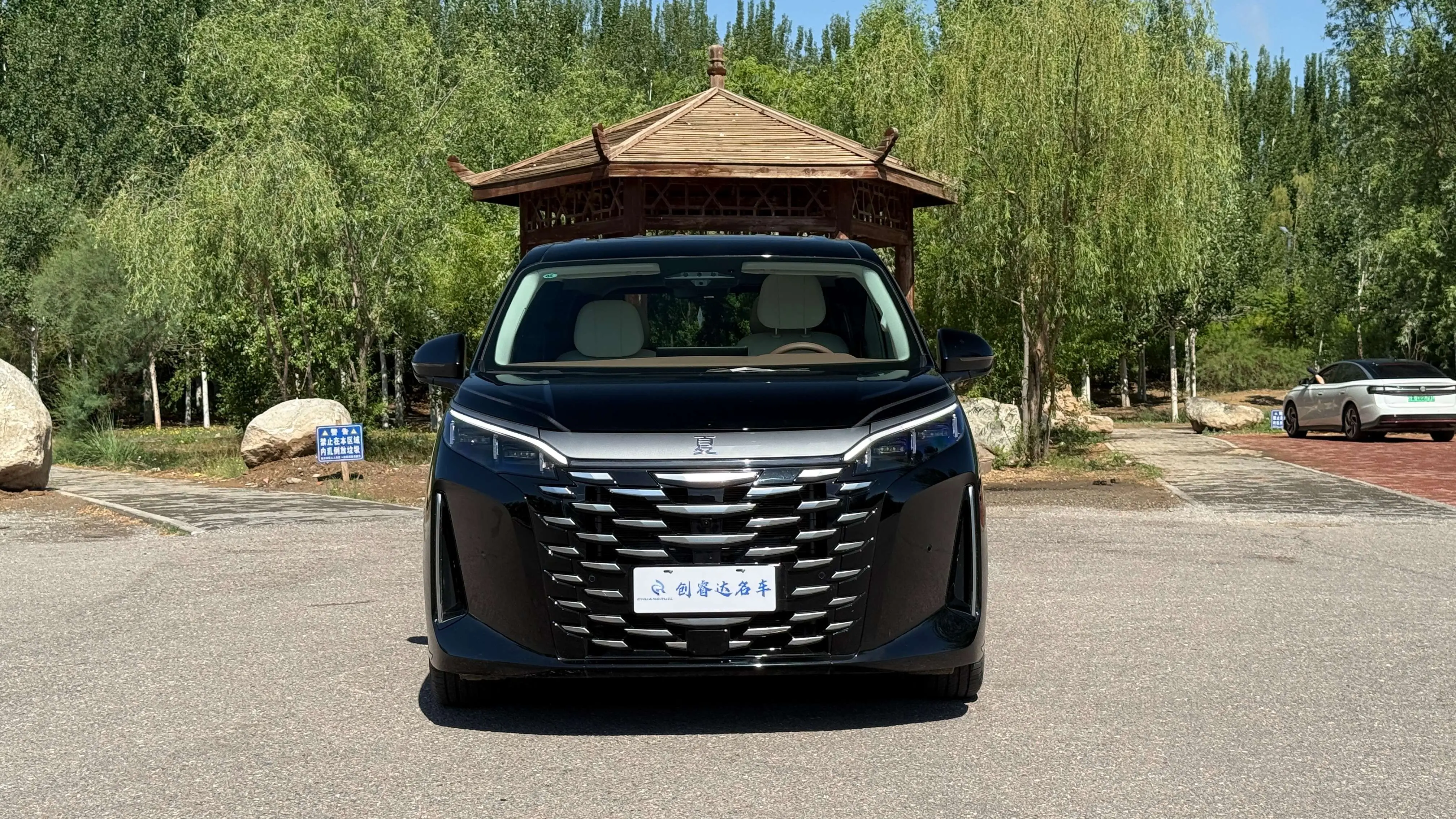 BYD summer