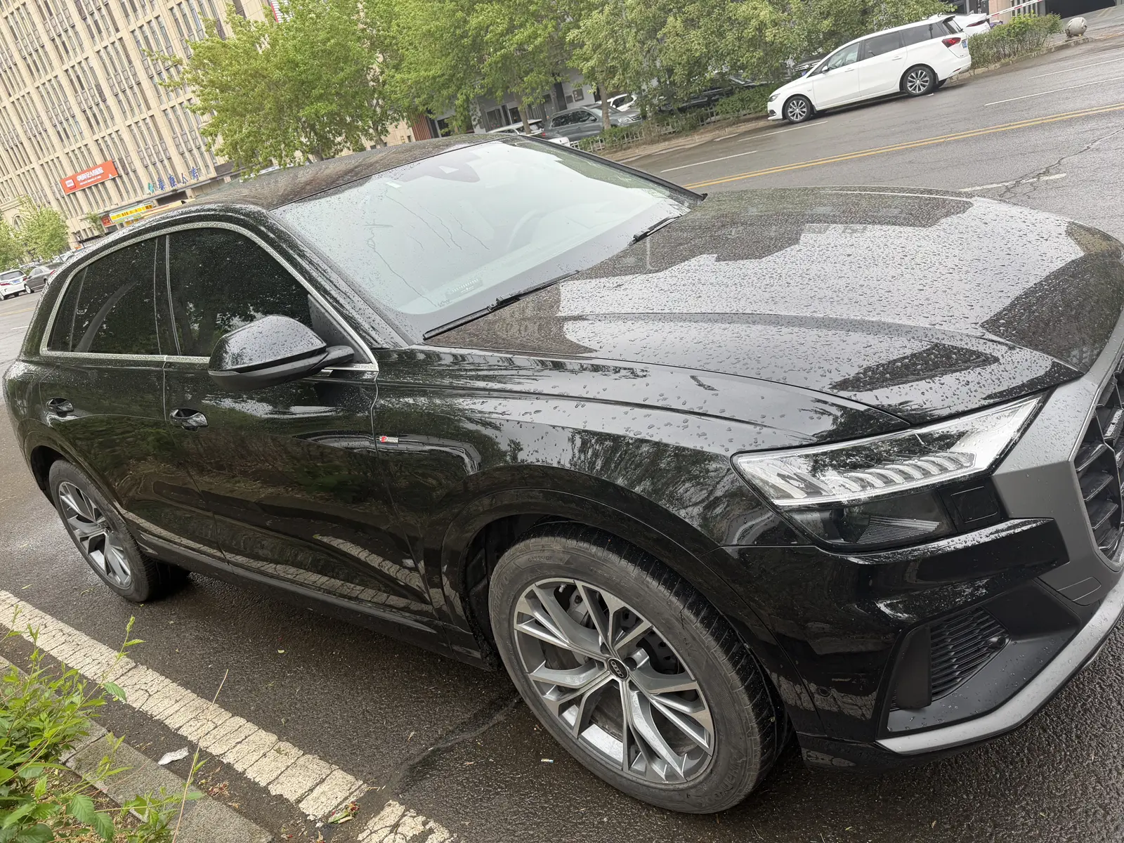 Audi Q8