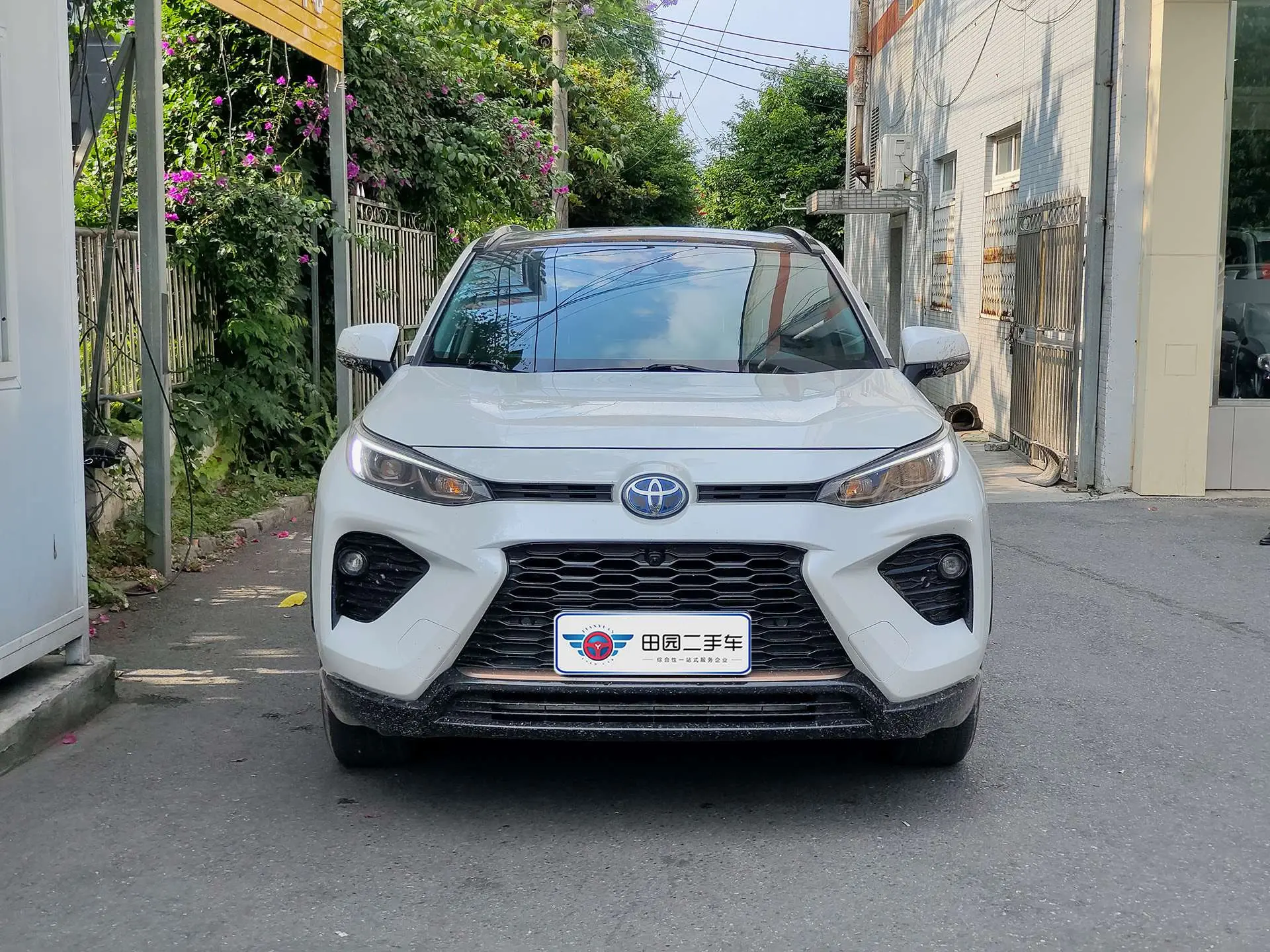 Toyota Willanda