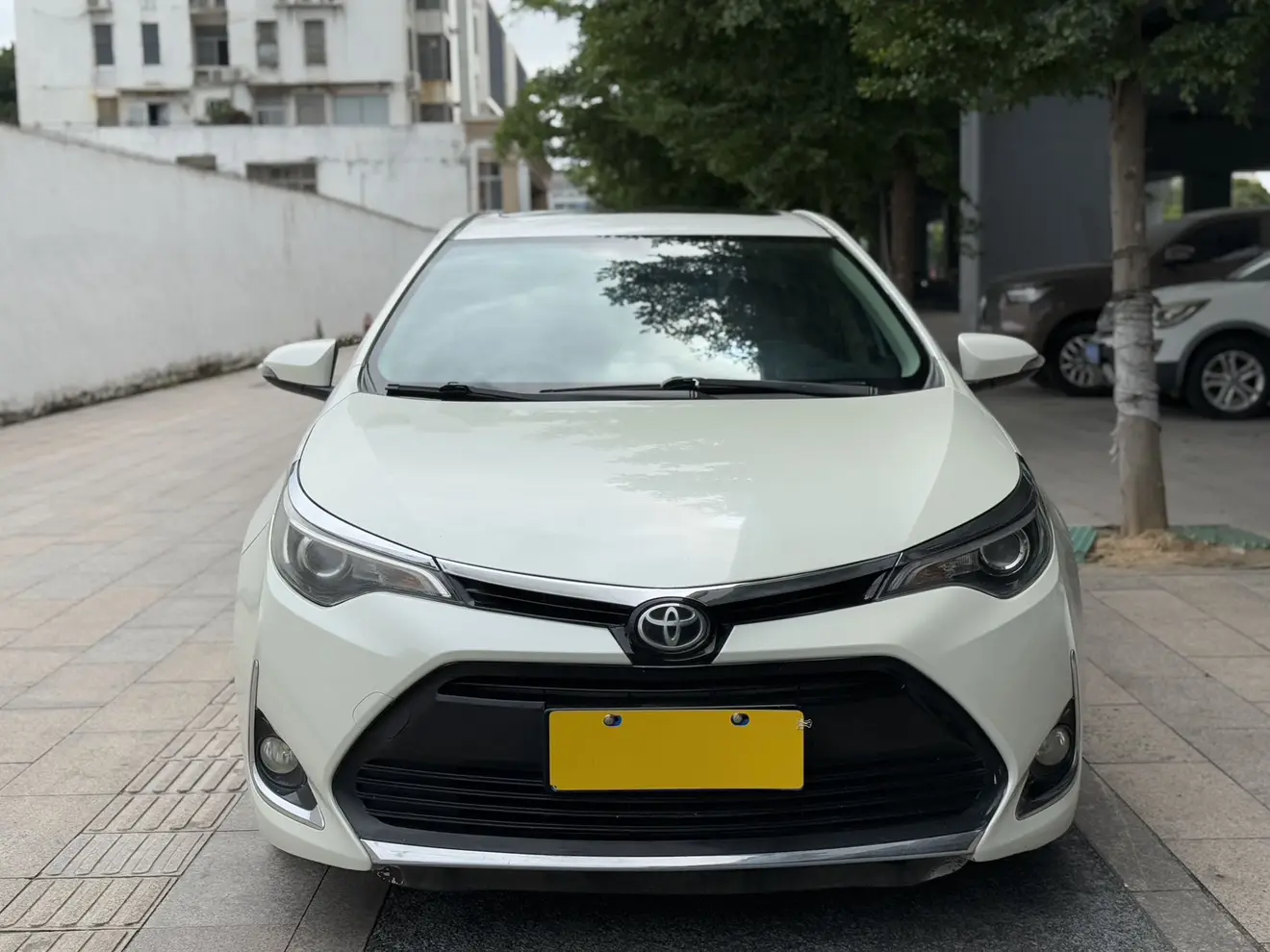 Toyota Levin