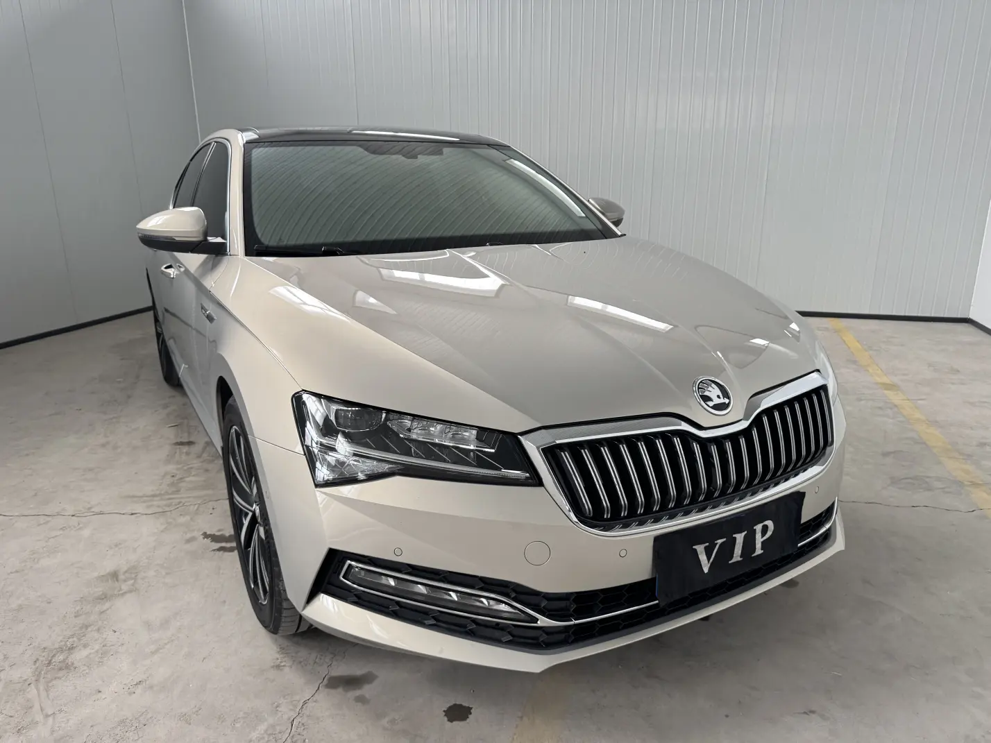 Skoda Speedy
