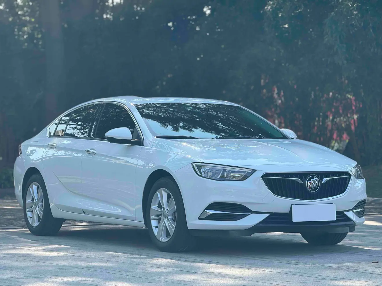 Buick Majesty