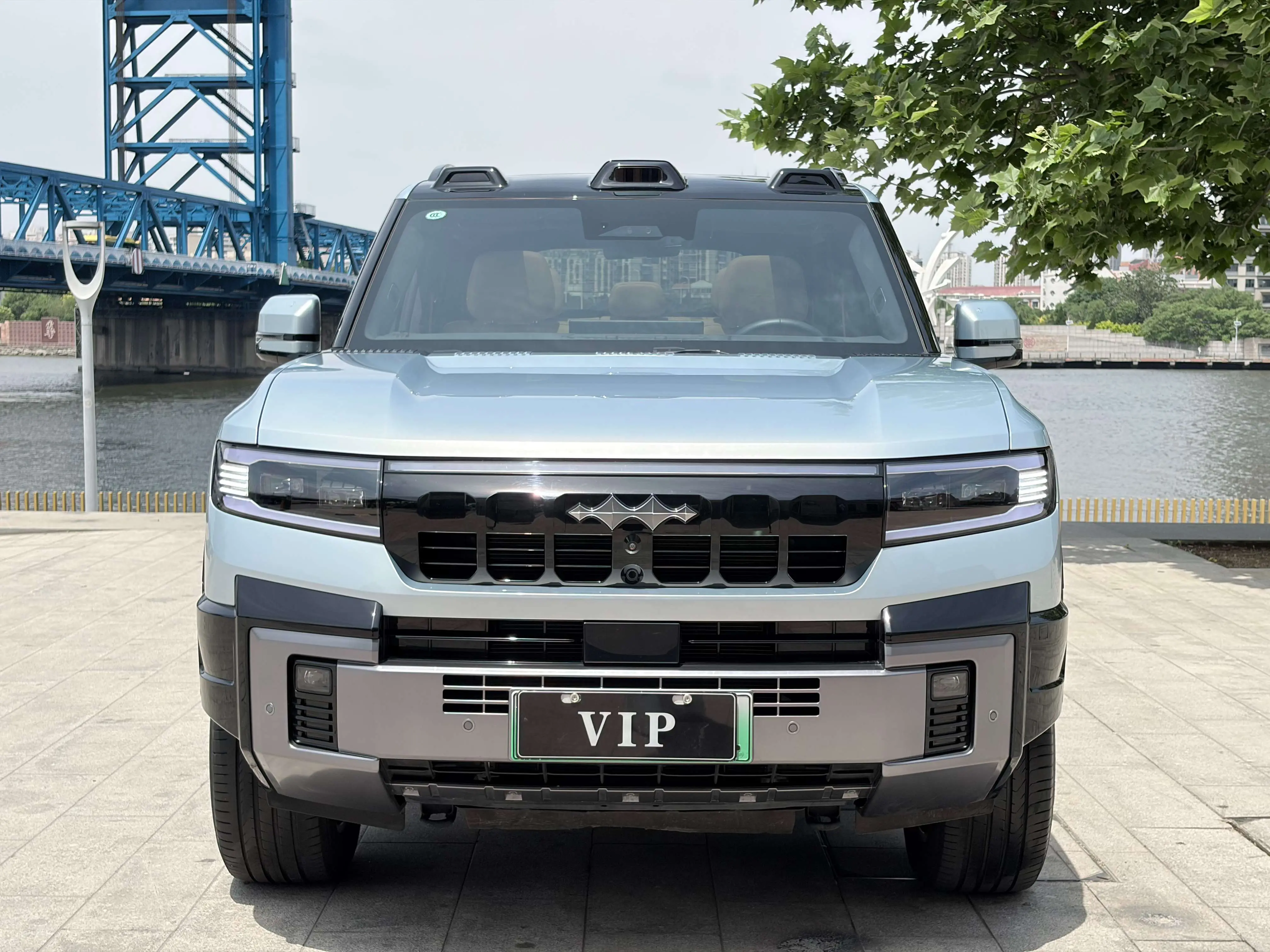 BYD Leopard Leopard 8