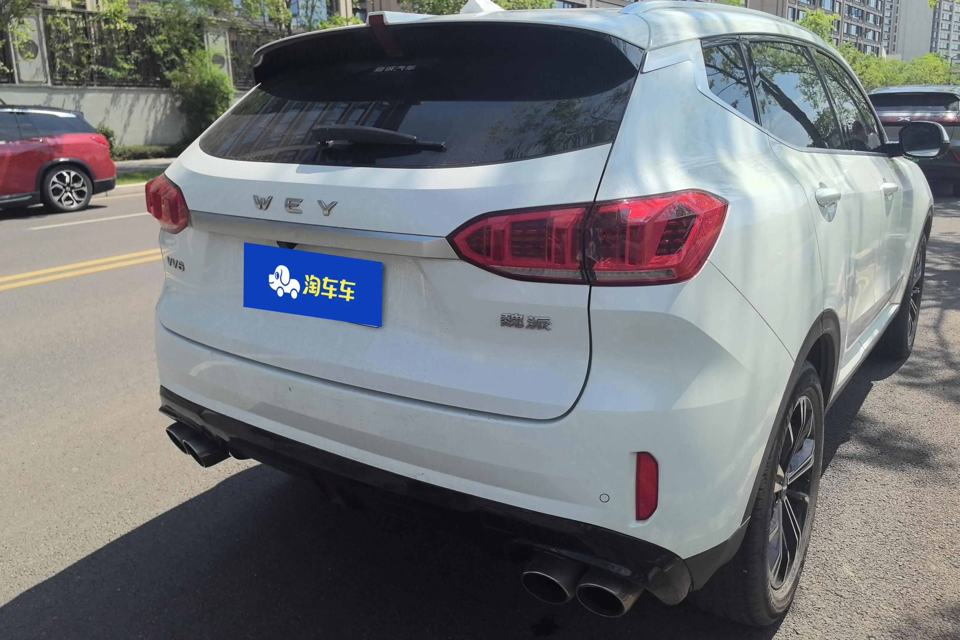Wey Wei brand VV6