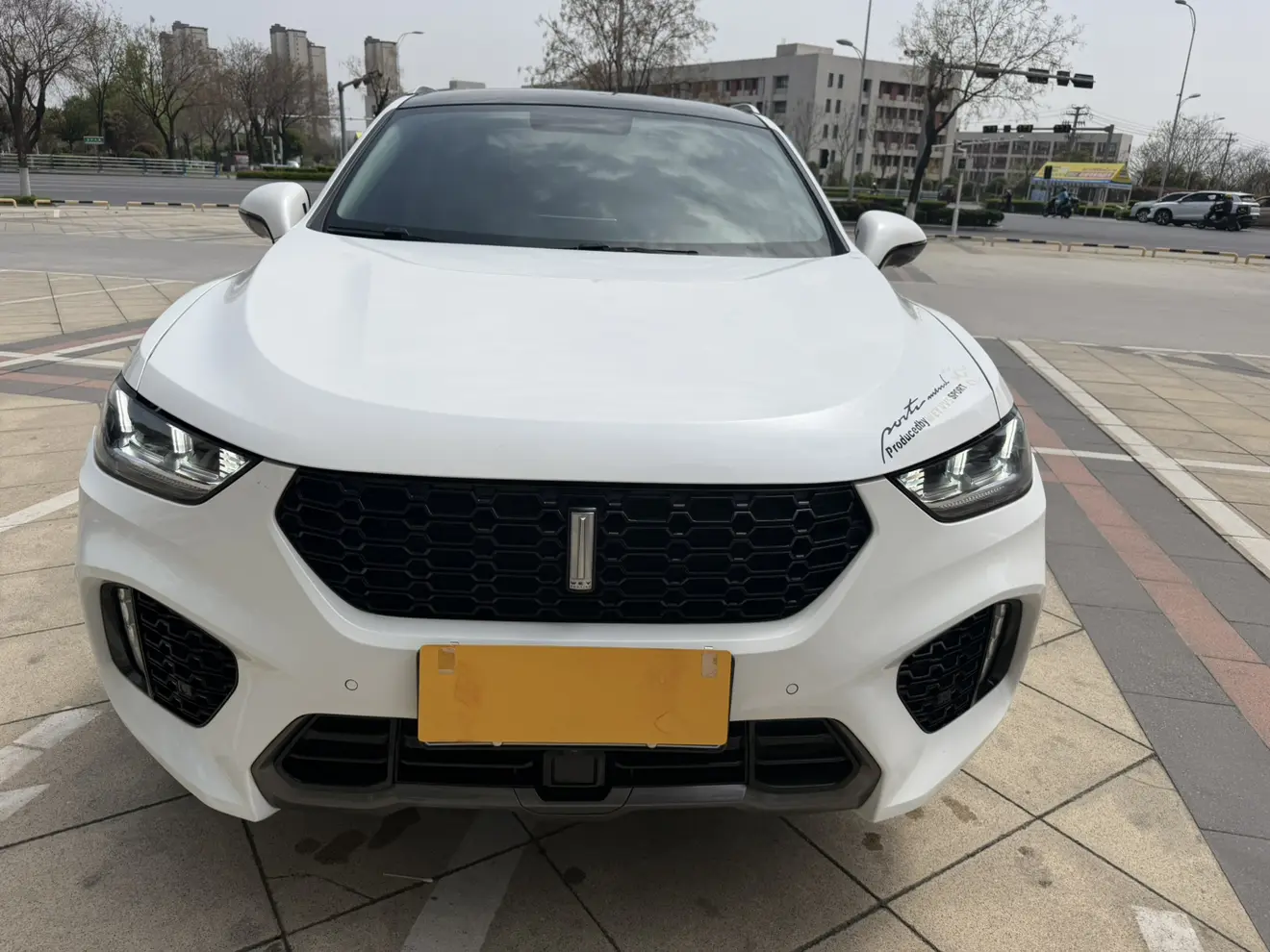 Wey Wei brand VV5