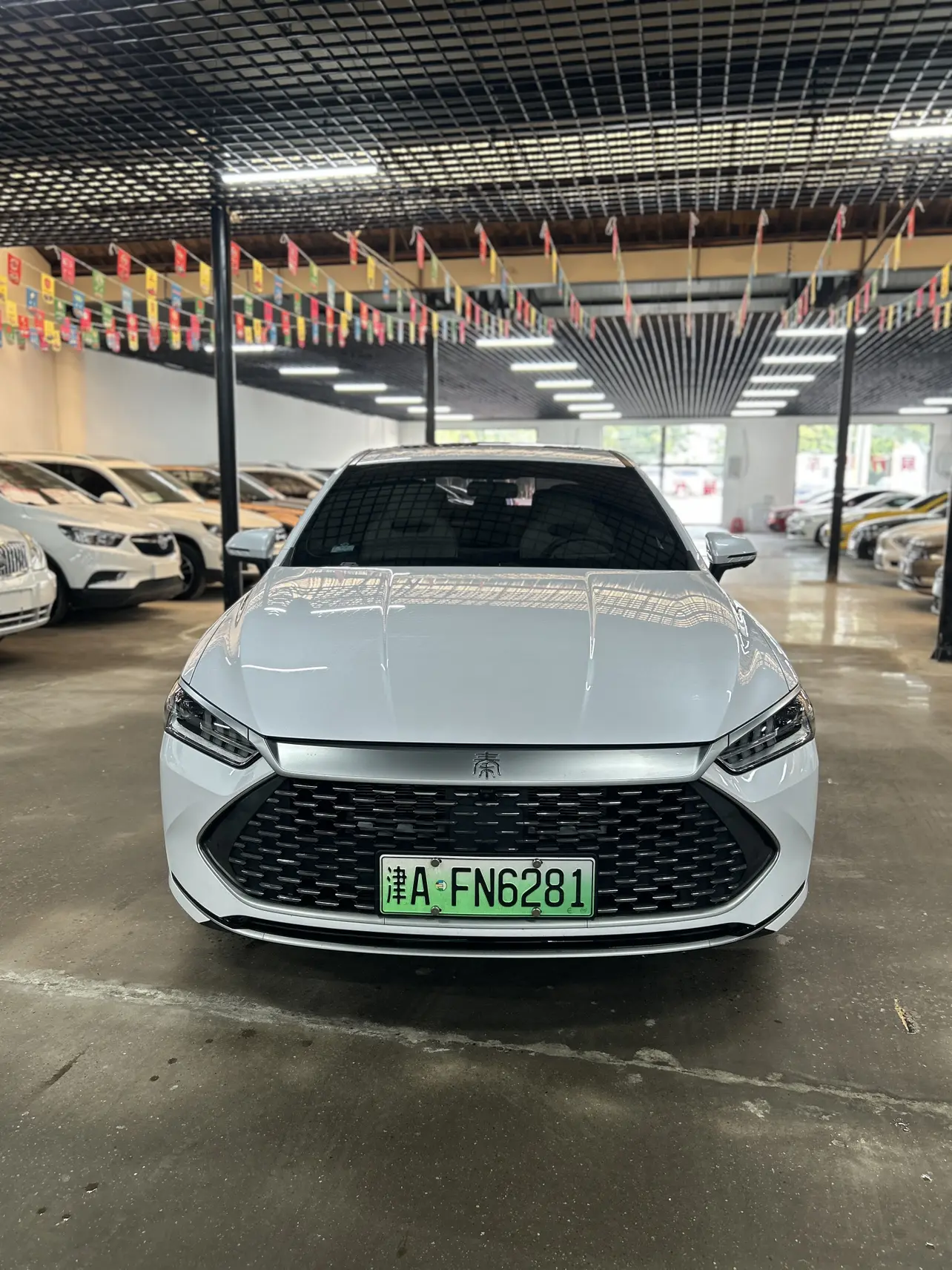 BYD Qin PLUS DM